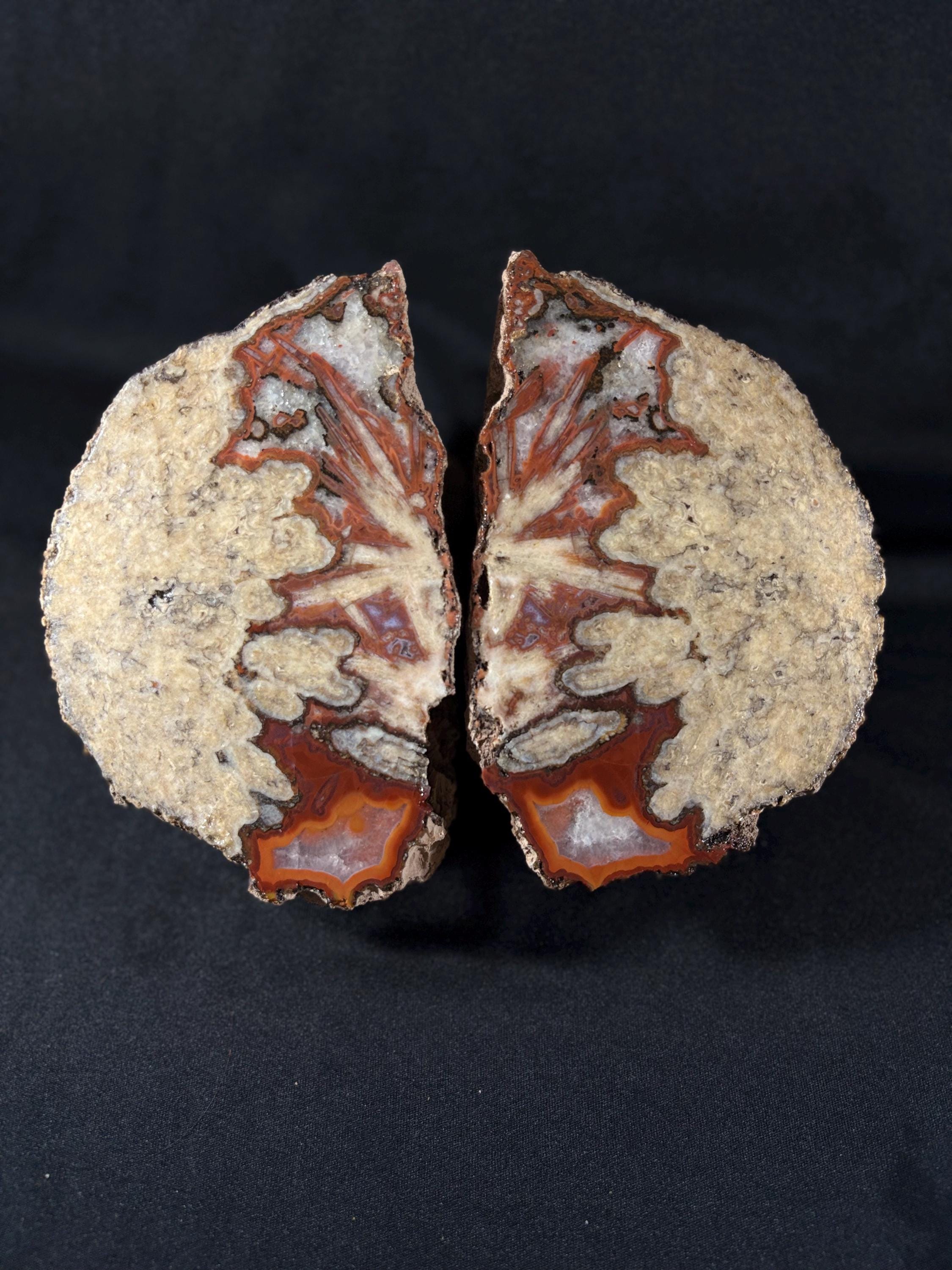 Natural Plume Agate Split Nodule Pair – Raw Untreated Agate