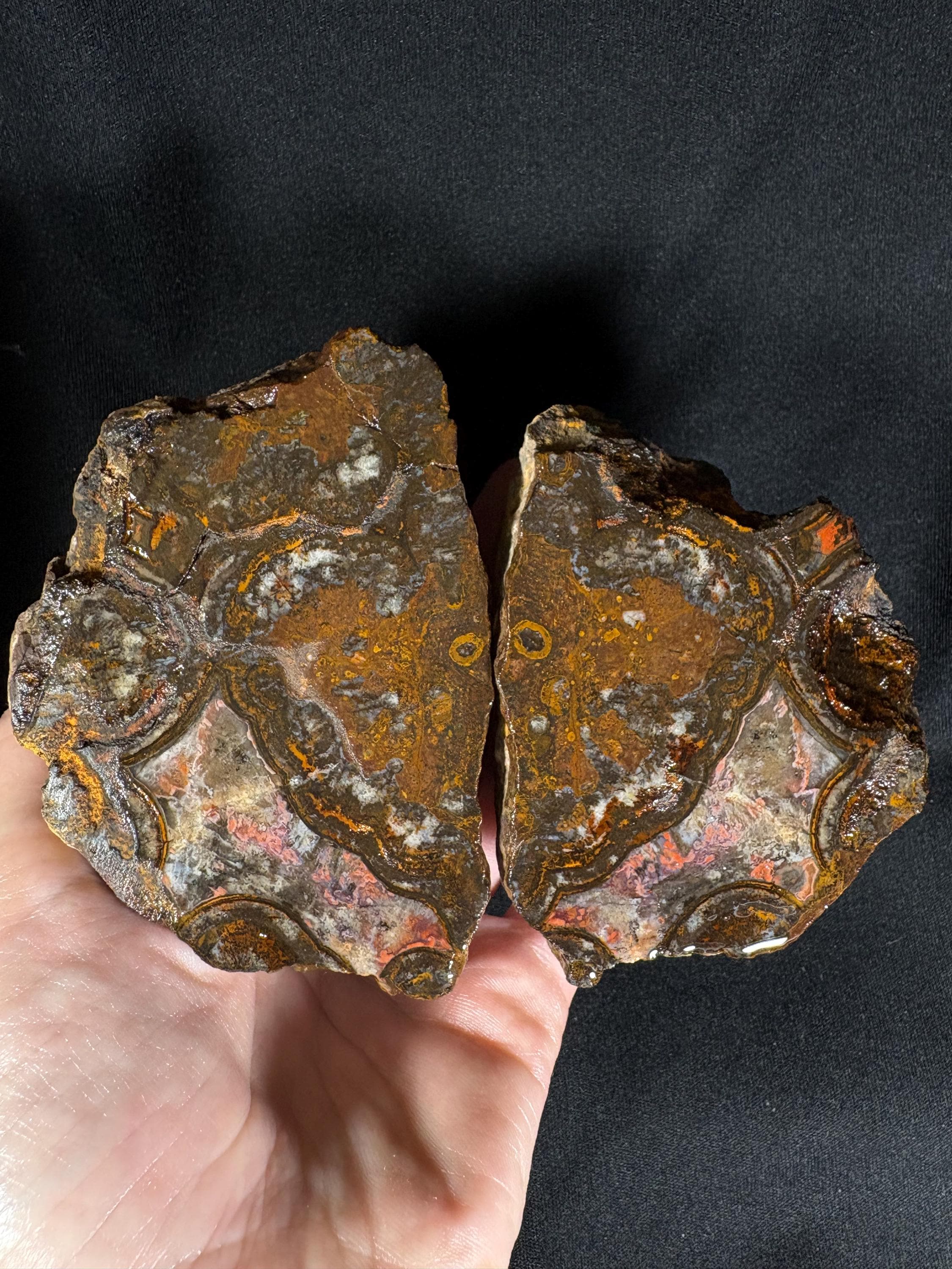 Unpolished Karadeniz Forest Agate