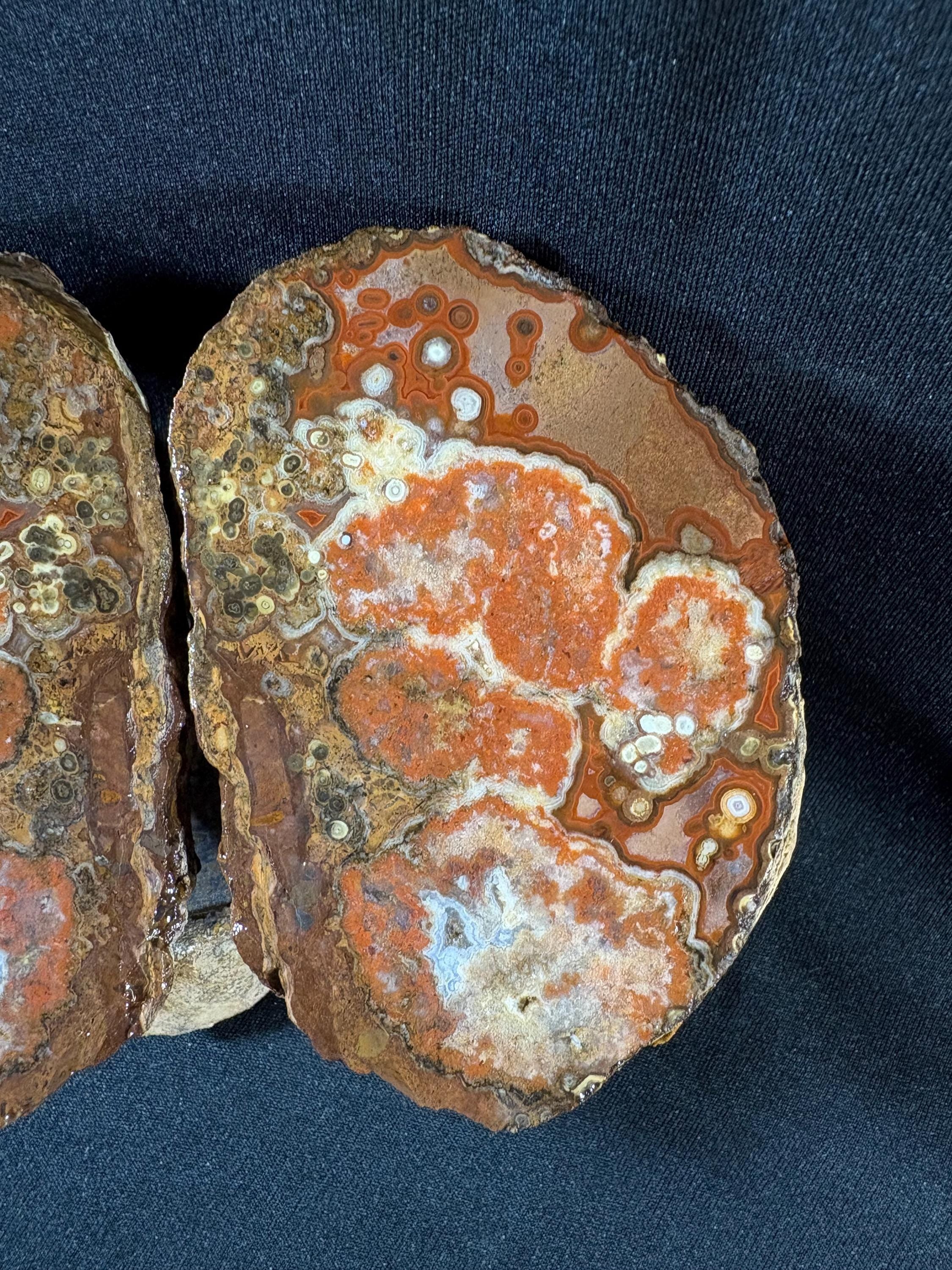 Natural Orbicular Agate Split Nodule Pair – Raw Ocean Jasper Type