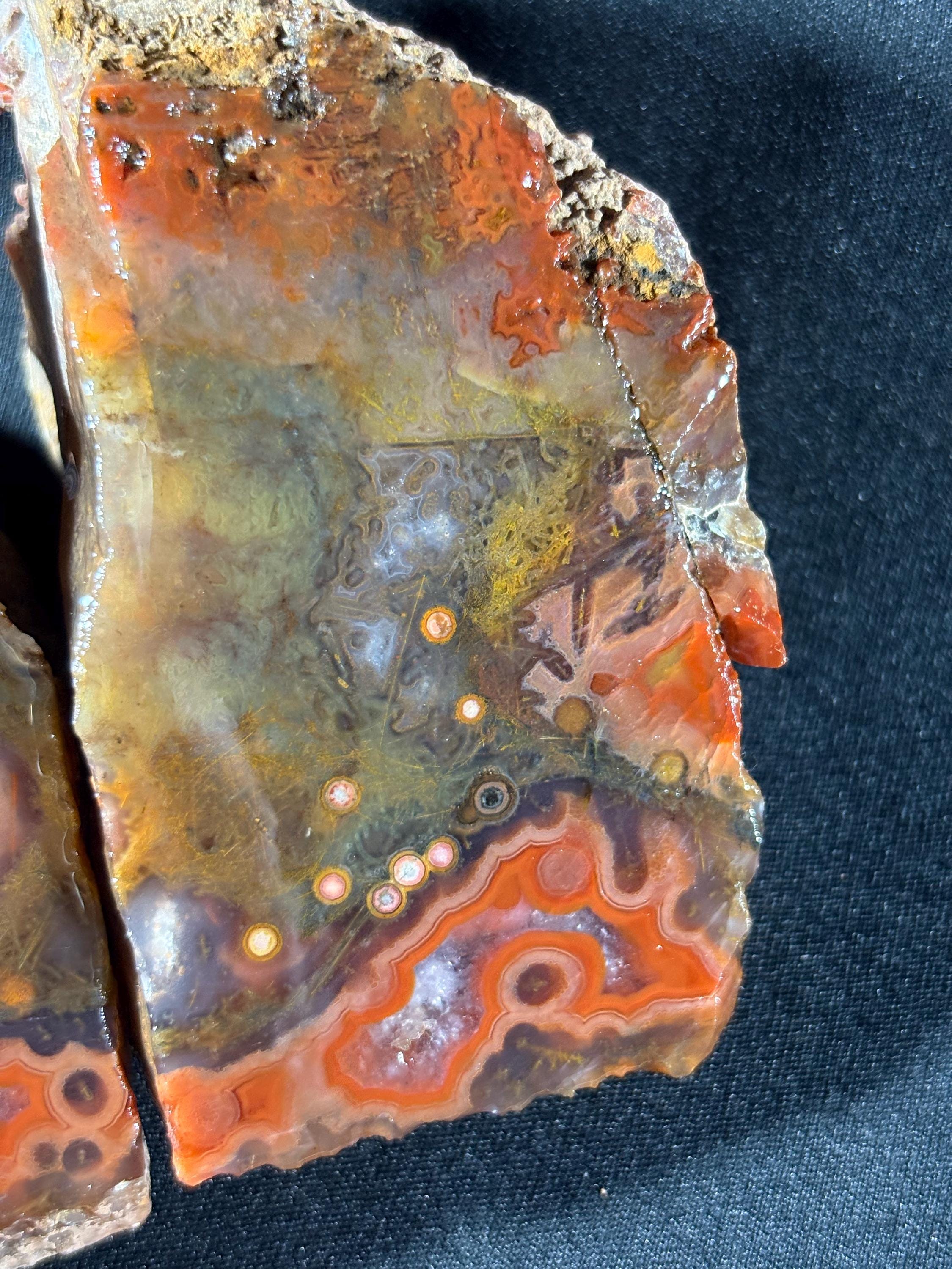 Black Sea Coastal Orbicular Agate