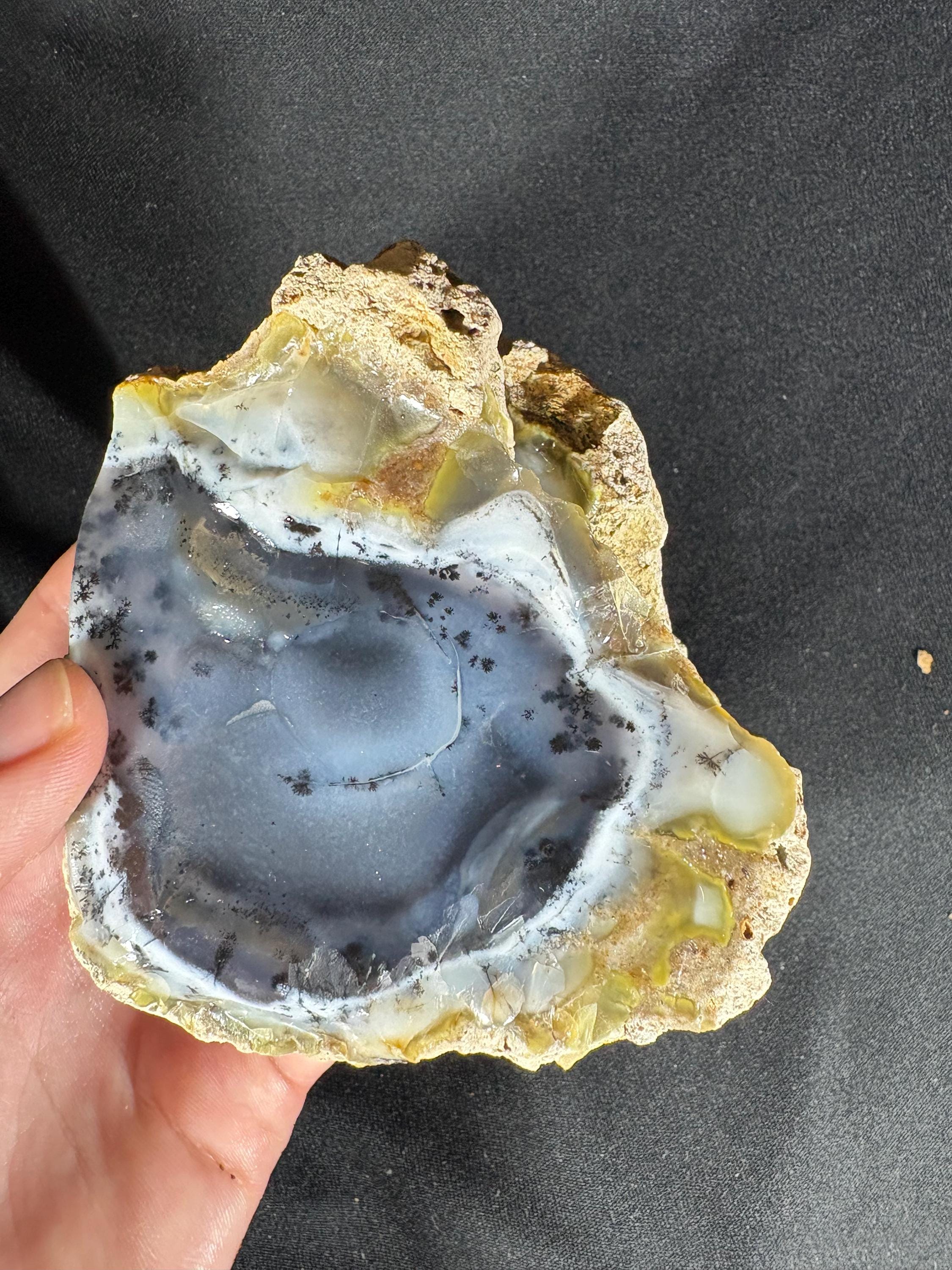 Rare Dendritic Agate Geode Pair