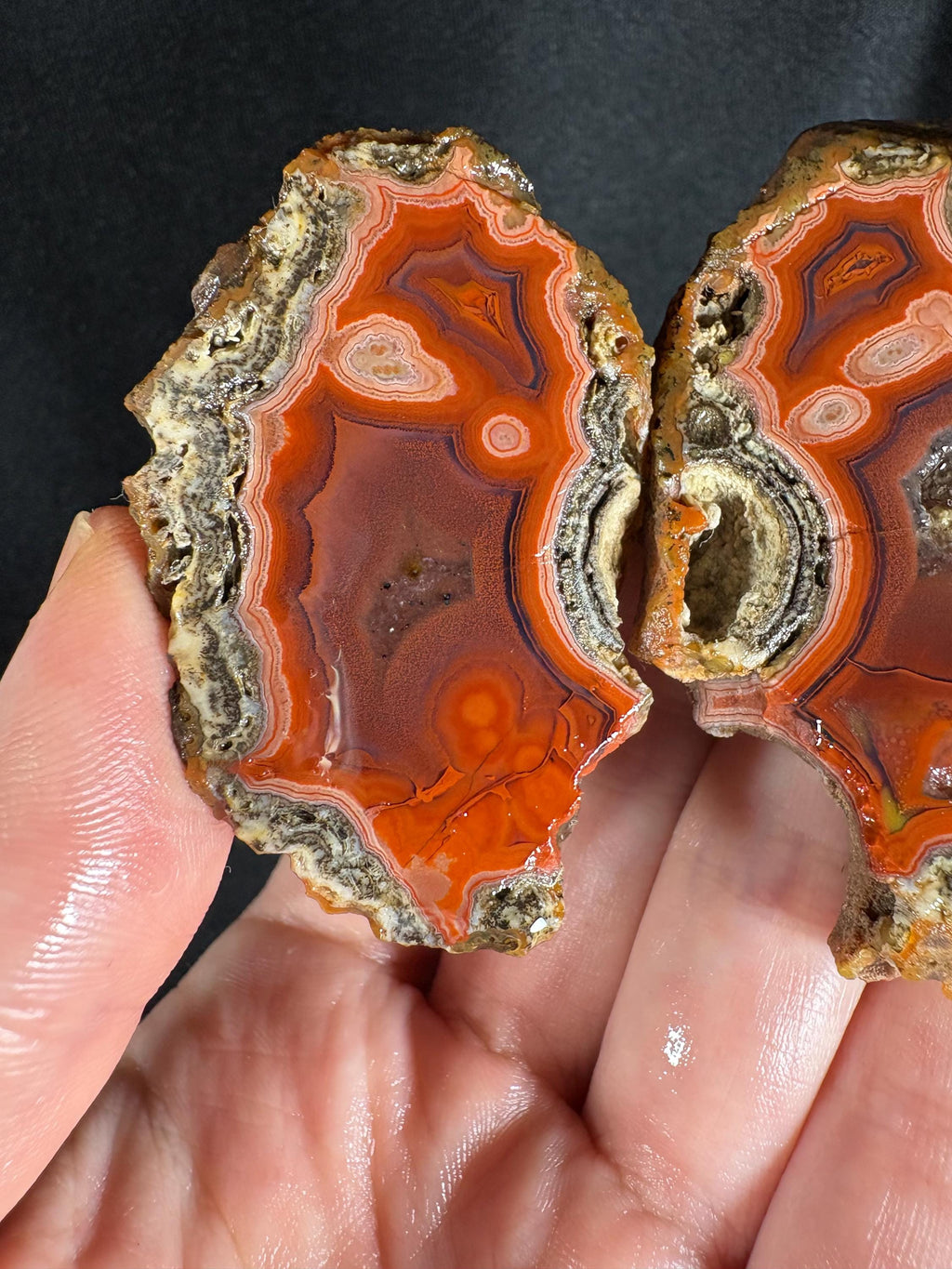 Rare Red Almus Agate Pair