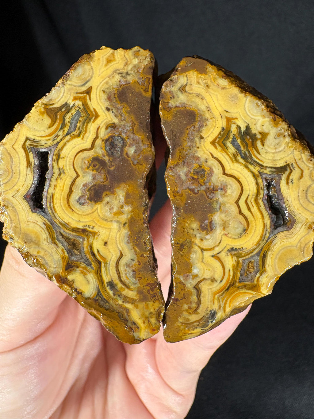 Golden "Baroque" Cloud Agate Pair