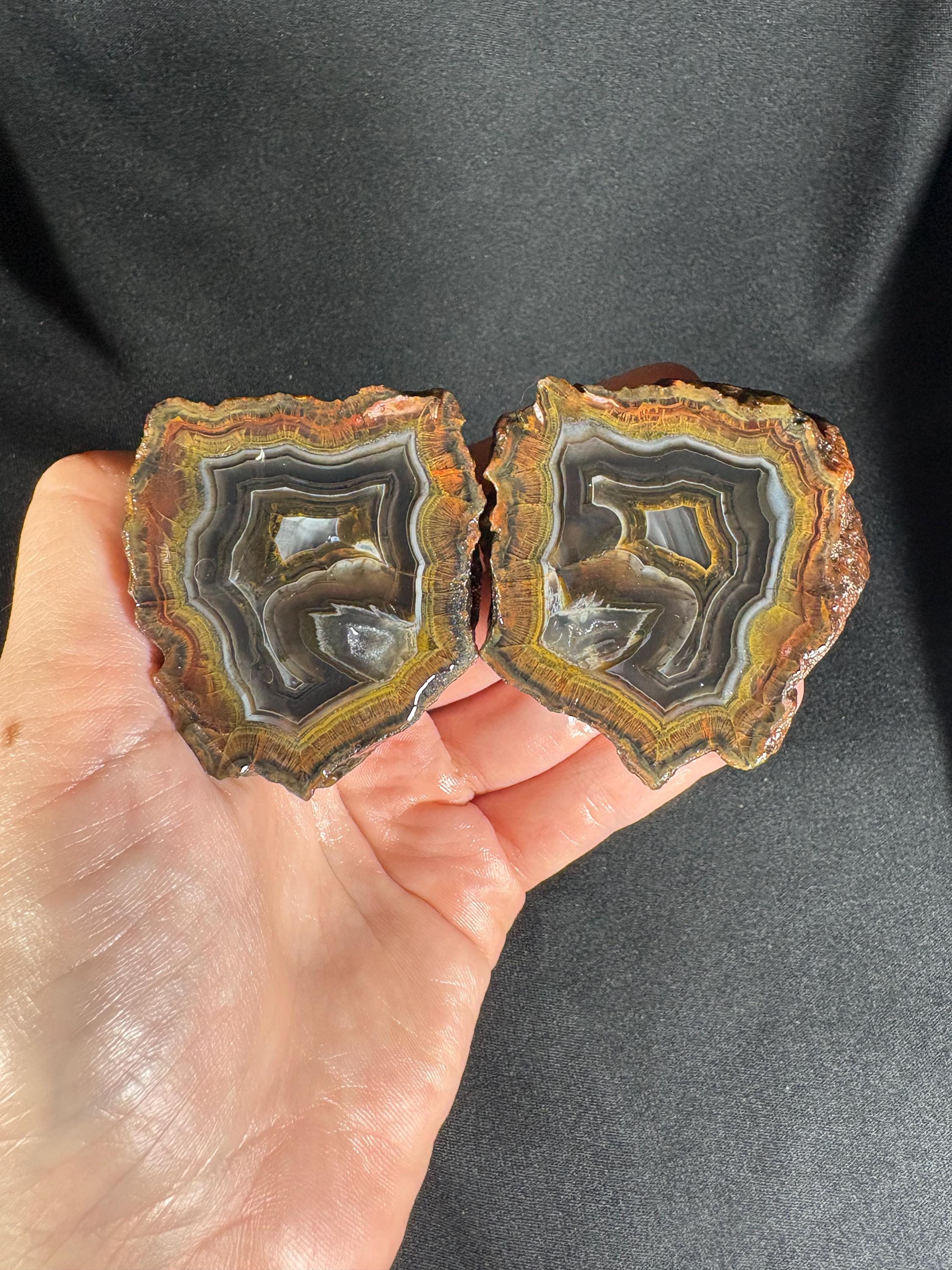 Golden Moss Rim Agate Pair