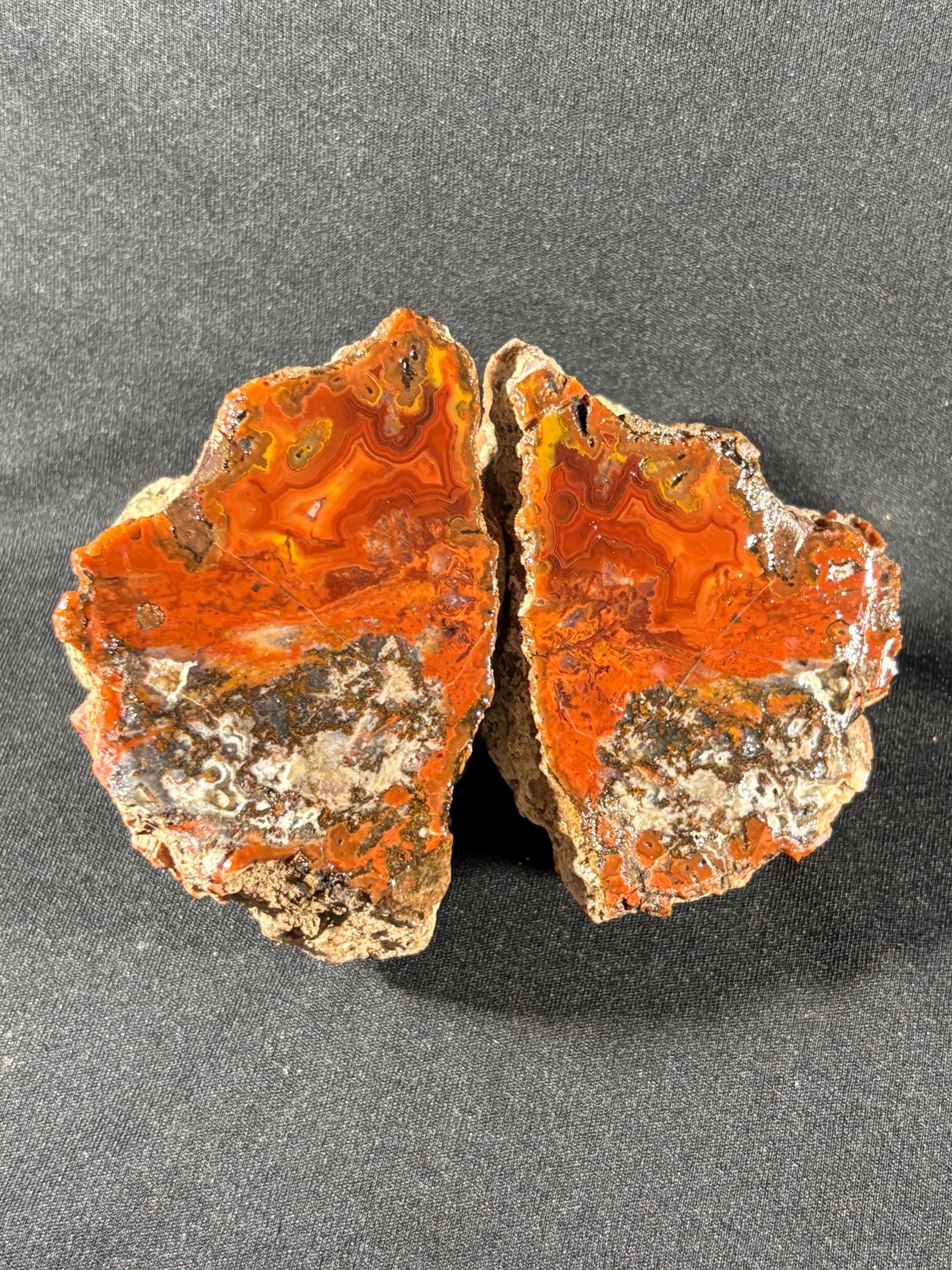 Raw Crazy Lace Agate Pair