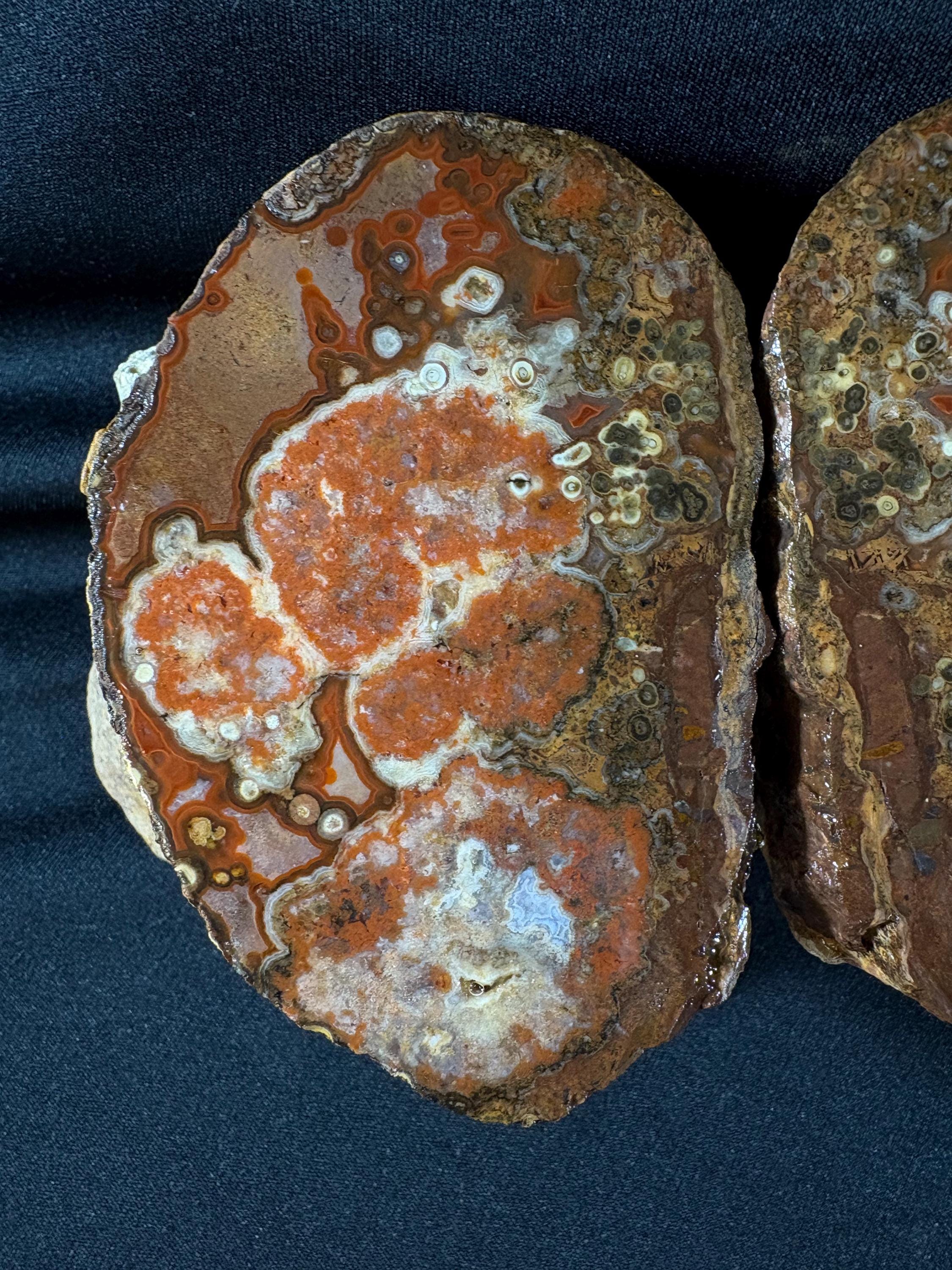 Natural Orbicular Agate Split Nodule Pair – Raw Ocean Jasper Type