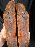 Red Sagenite Agate Pair | Rare Stick Agate Slices