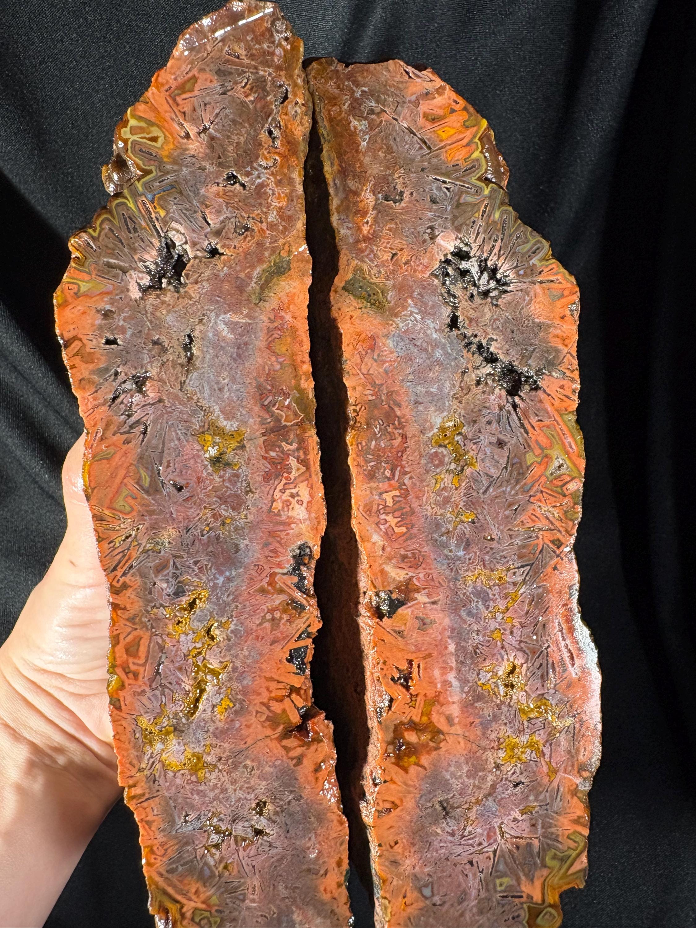 Red Sagenite Agate Pair | Rare Stick Agate Slices