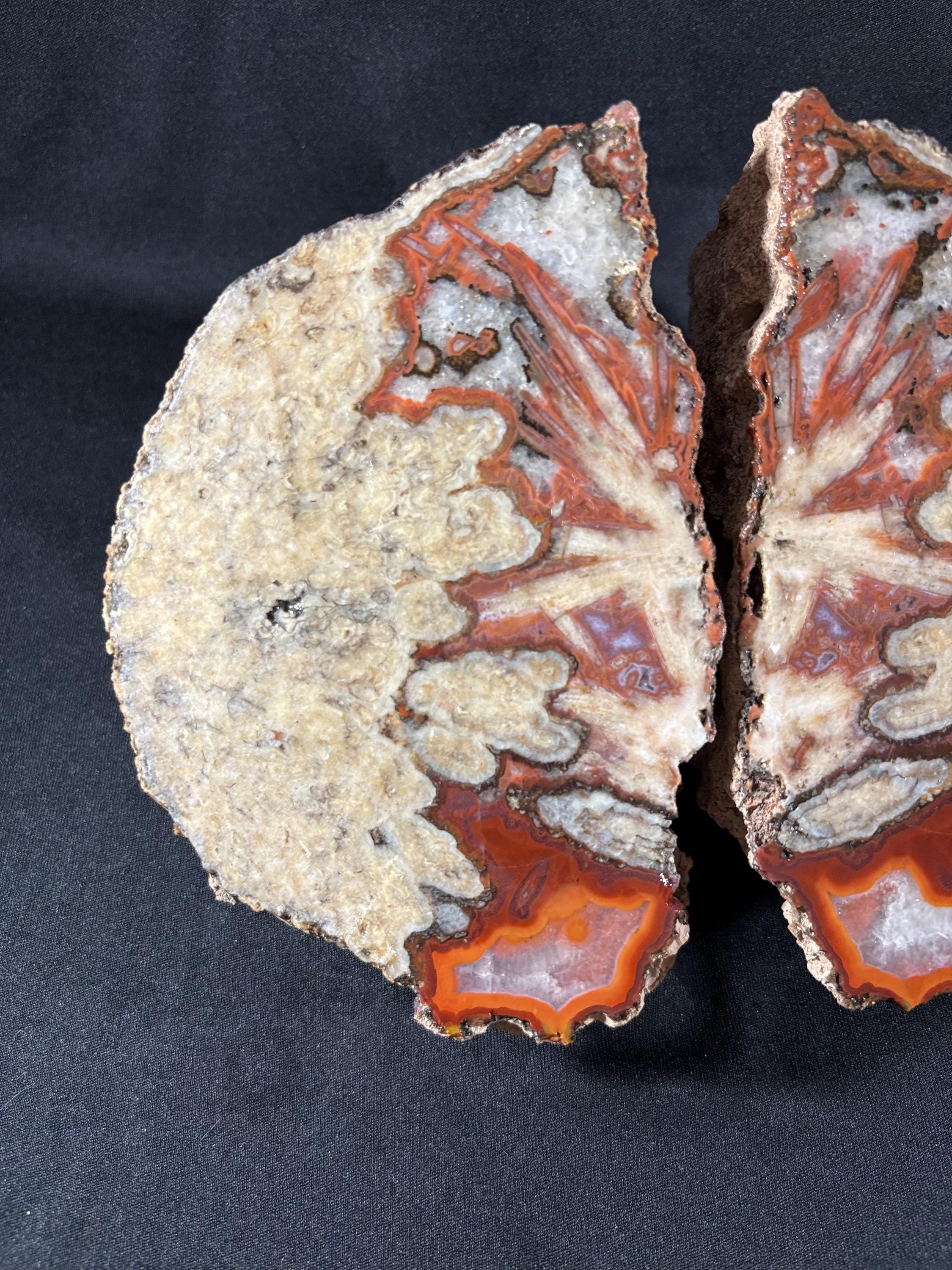 Natural Plume Agate Split Nodule Pair – Raw Untreated Agate