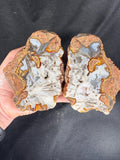 Rare Star Agate Geode Pair - Unpolished