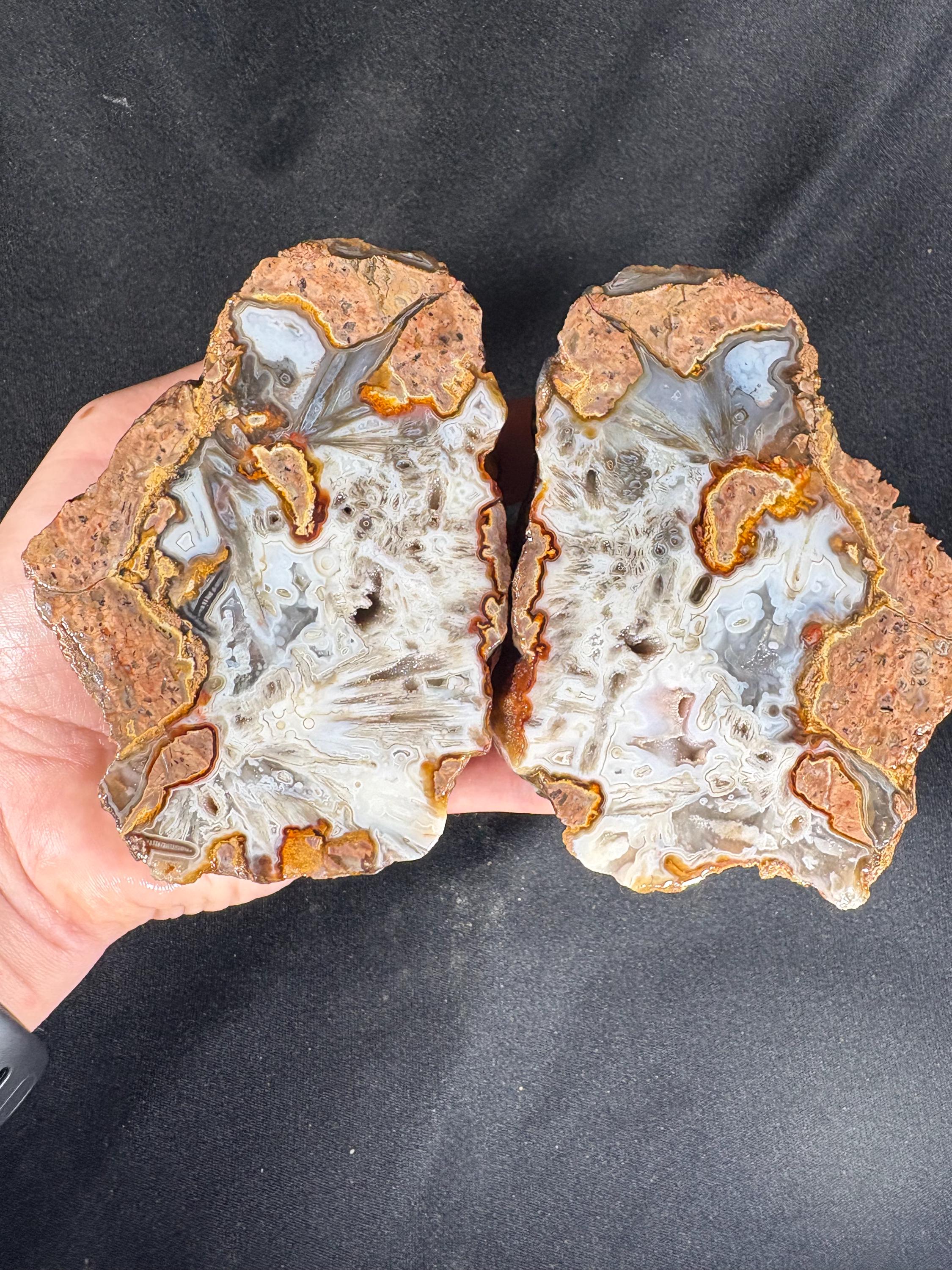 Rare Star Agate Geode Pair - Unpolished