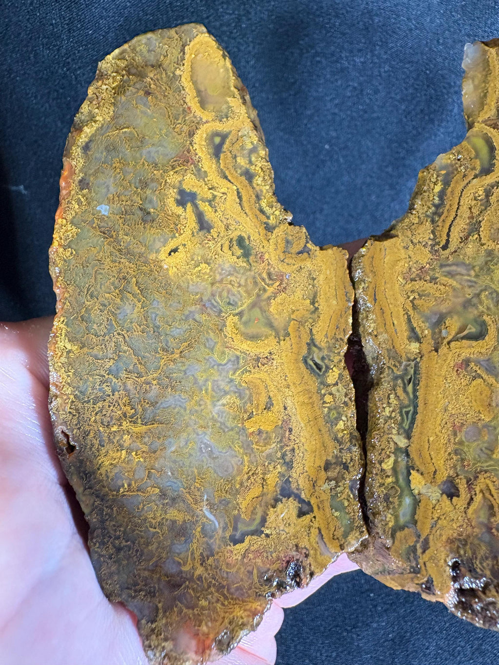 Black Sea Honey Moss Agate Pair – Golden Amber Plume