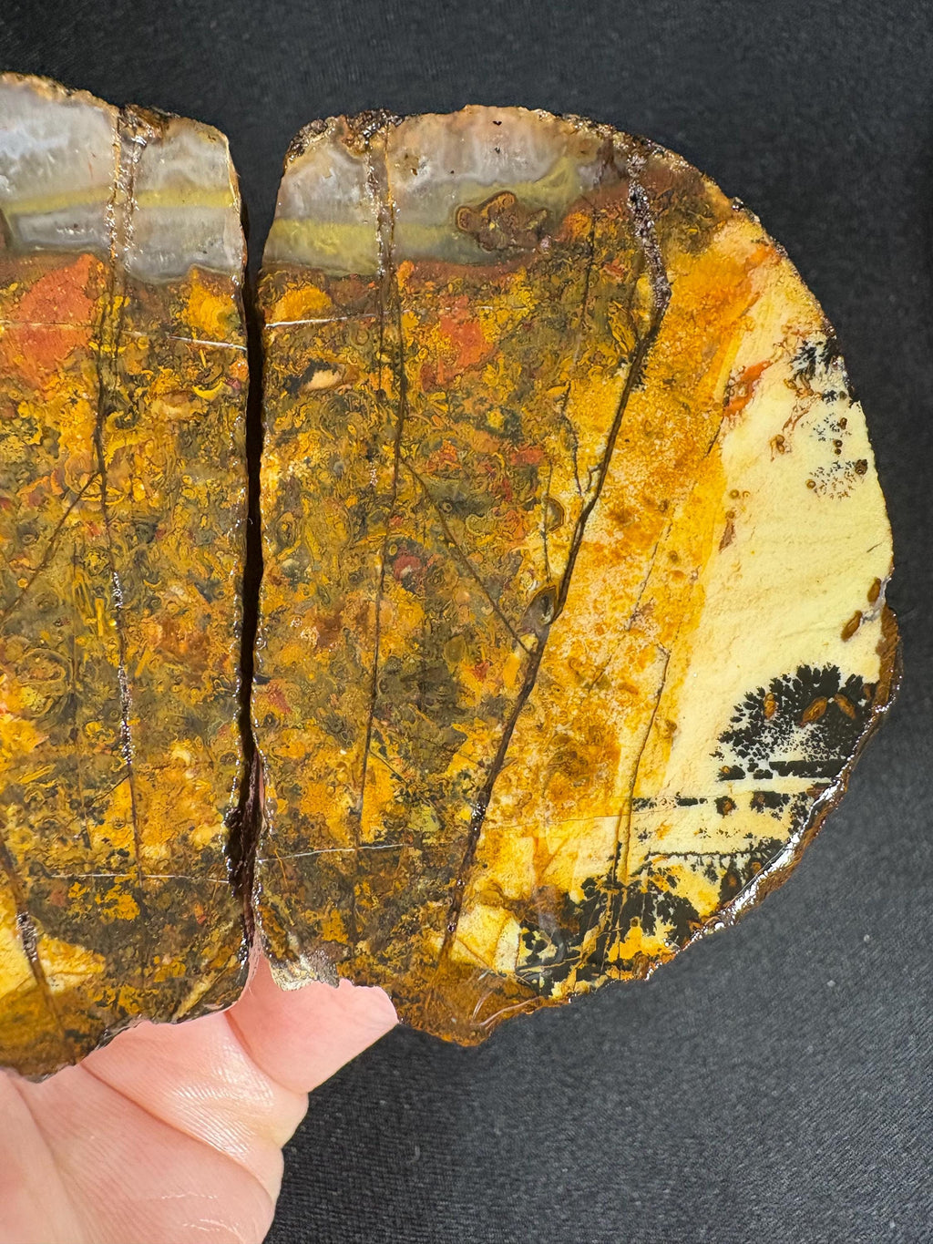 Golden Plume Agate Pair – Scenic "Autumn Forest" Dendritic Geode