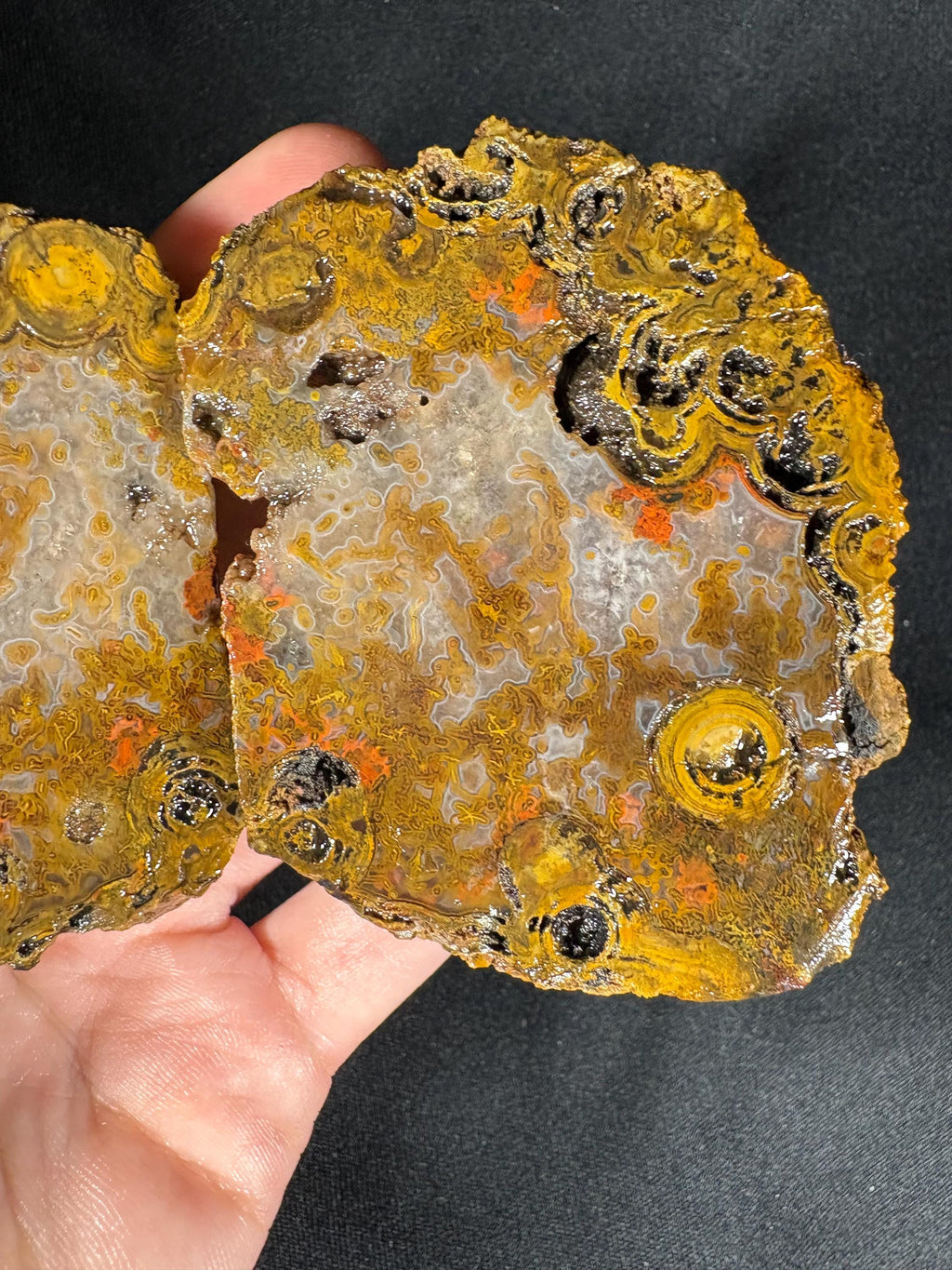 Yellow Crater Agate Pair
