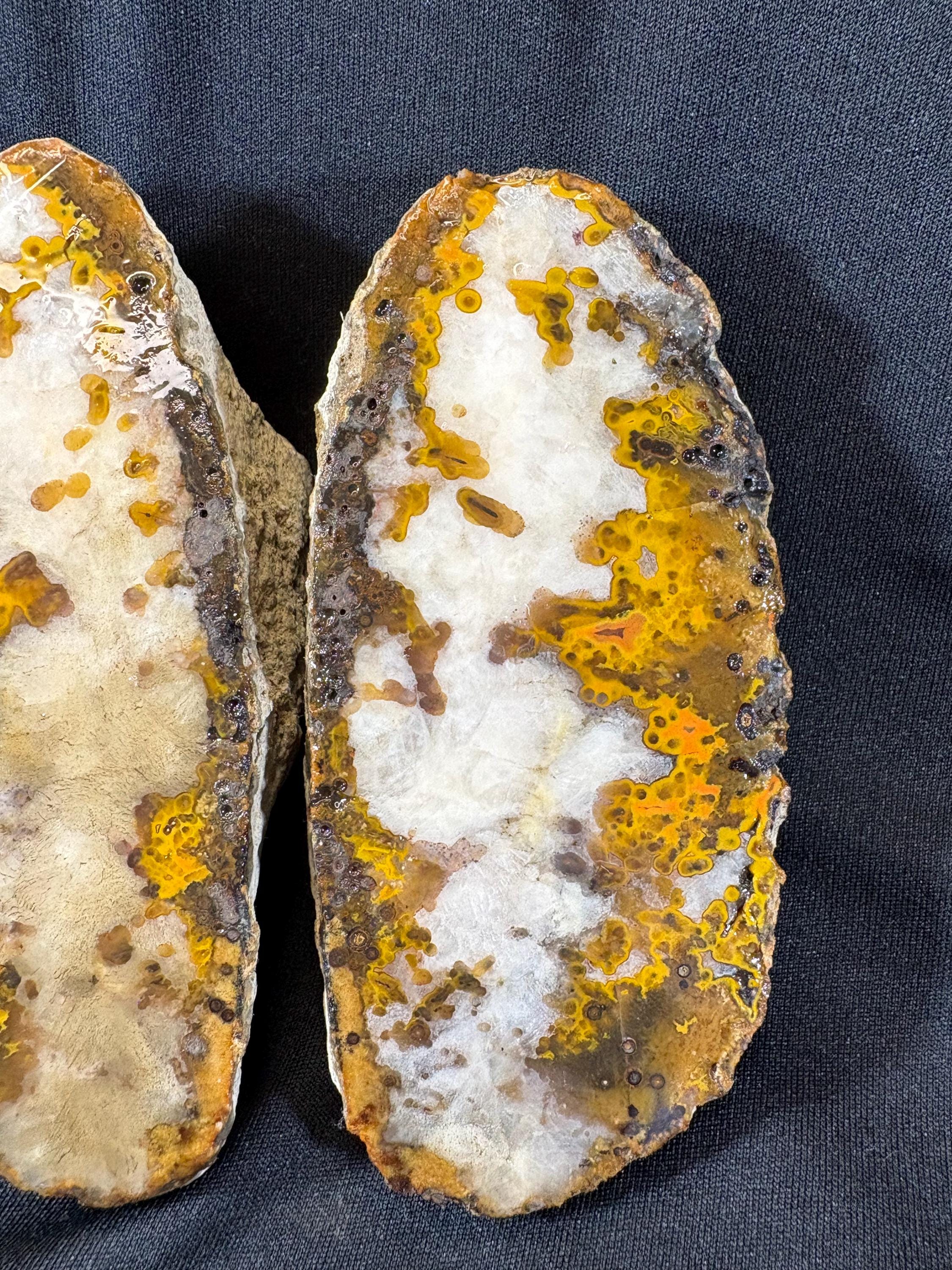 Natural Plume Agate Split Nodule Pair