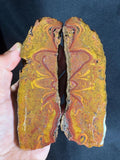 Red Almus Agate Nodule | Banded "Zebraic" Chalcedony | Tokat