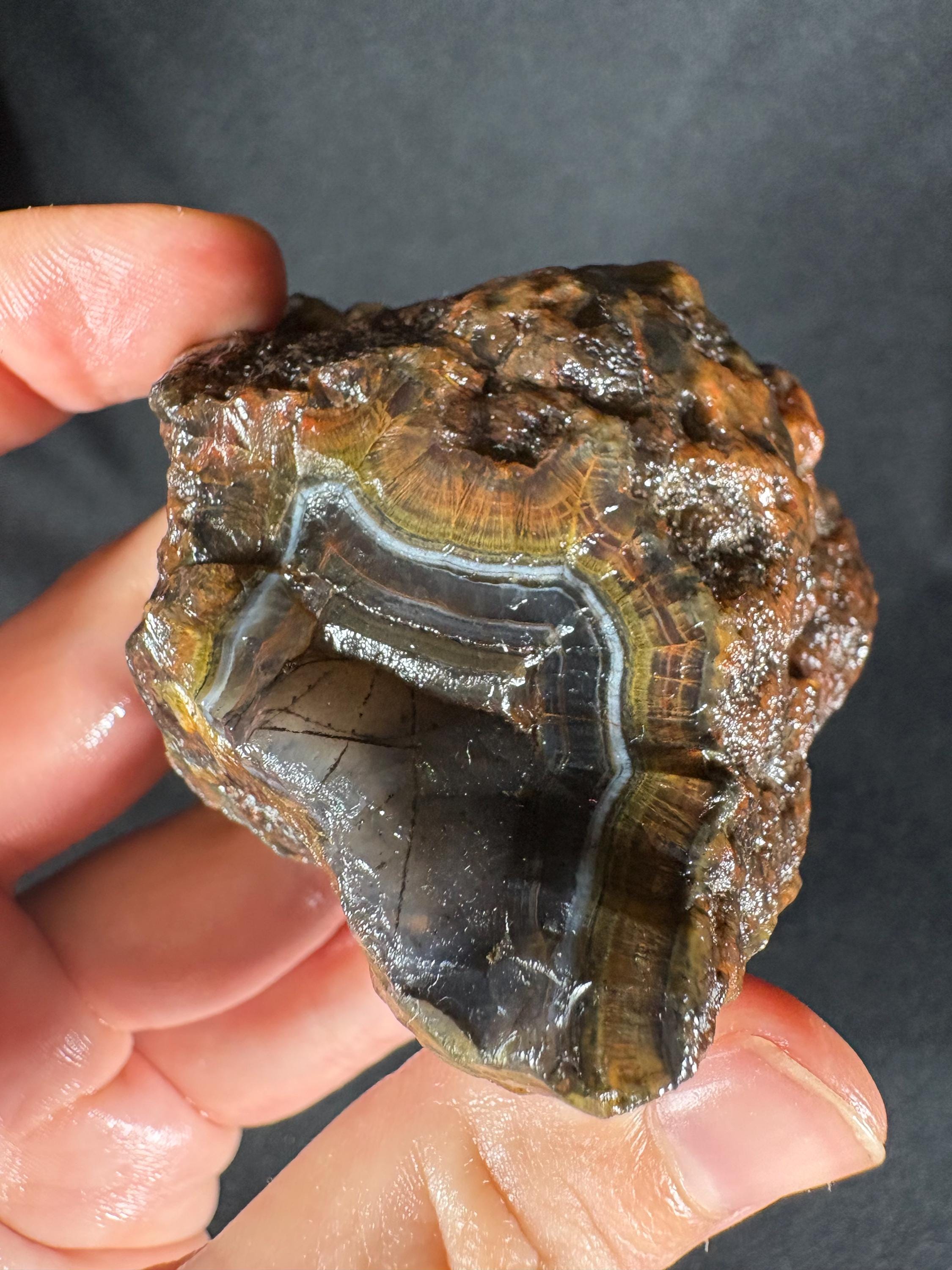 Golden Moss Rim Agate Pair