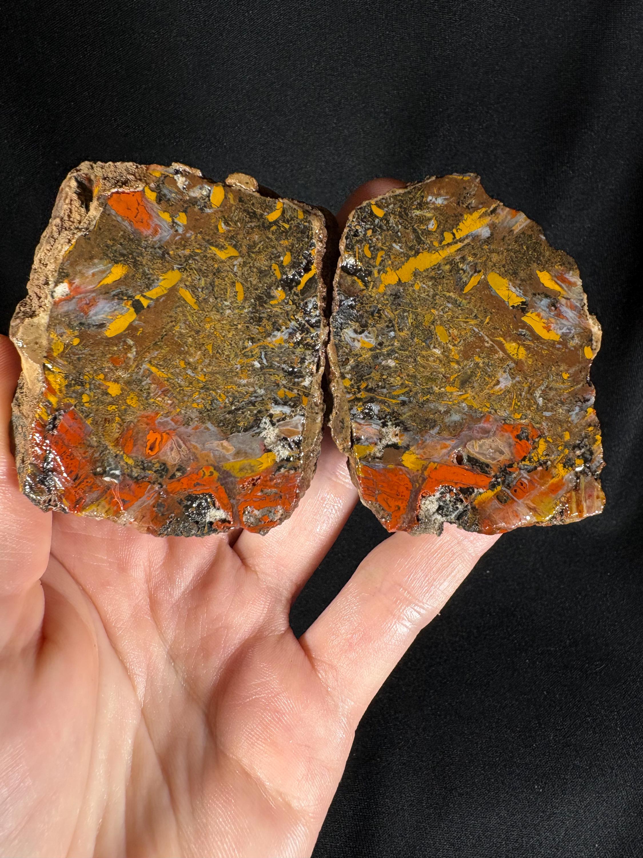 Scenic "Autumn Forest" Agate Pair - Black Sea Stone