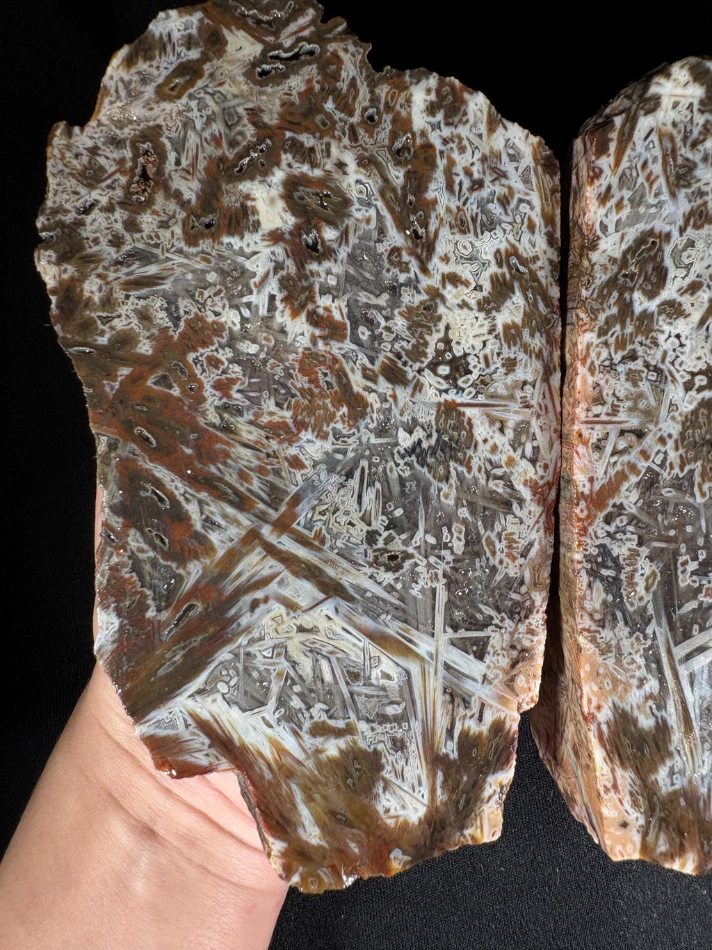 Stick Agate Geode Pair - Raw Needle Lattice