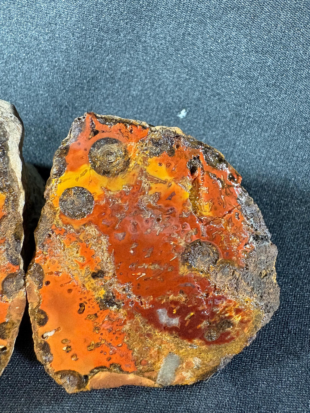 Raw Orbicular Agate Pair - Black Sea Volcanic Stone