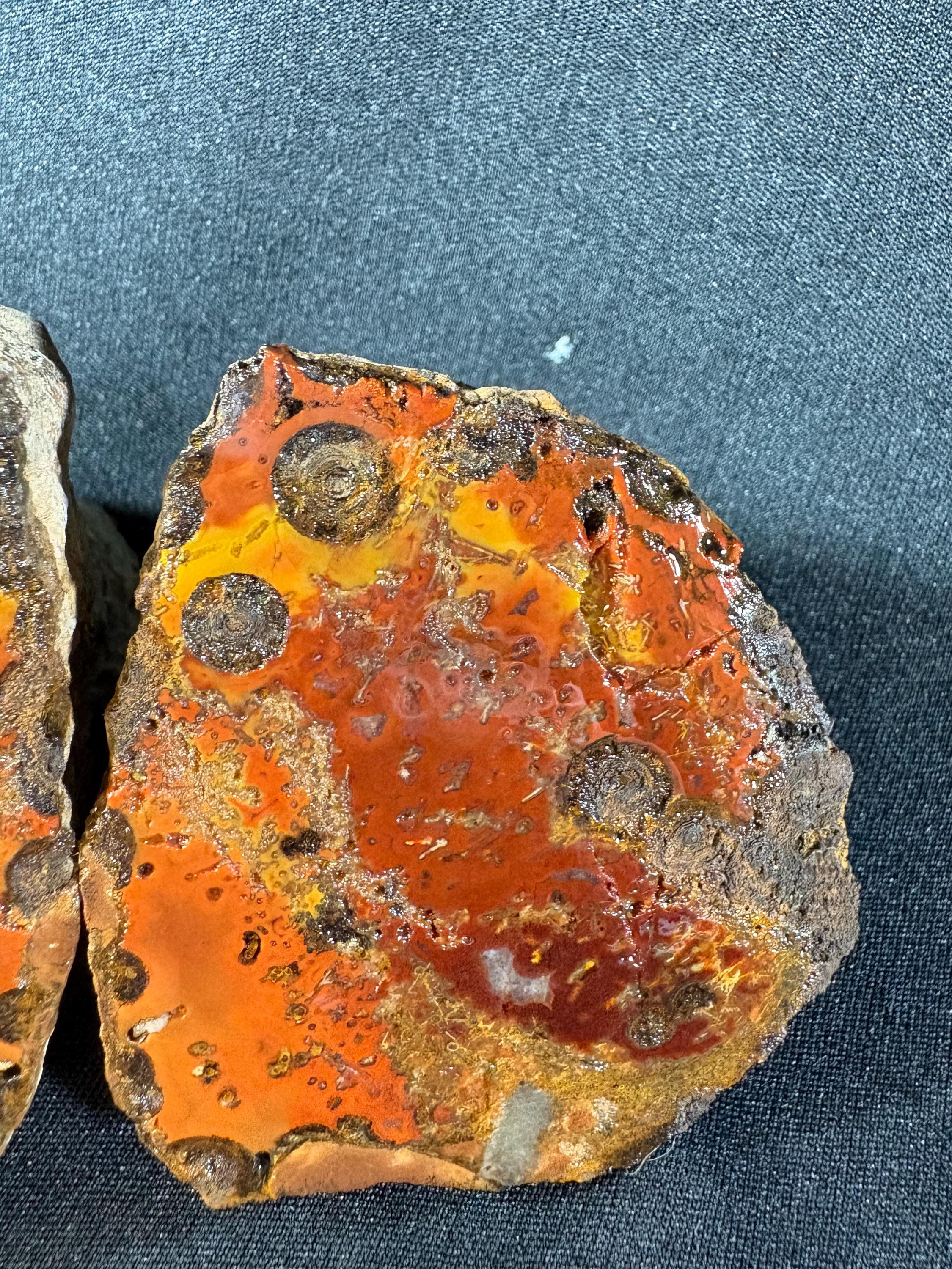 Raw Orbicular Agate Pair - Black Sea Volcanic Stone