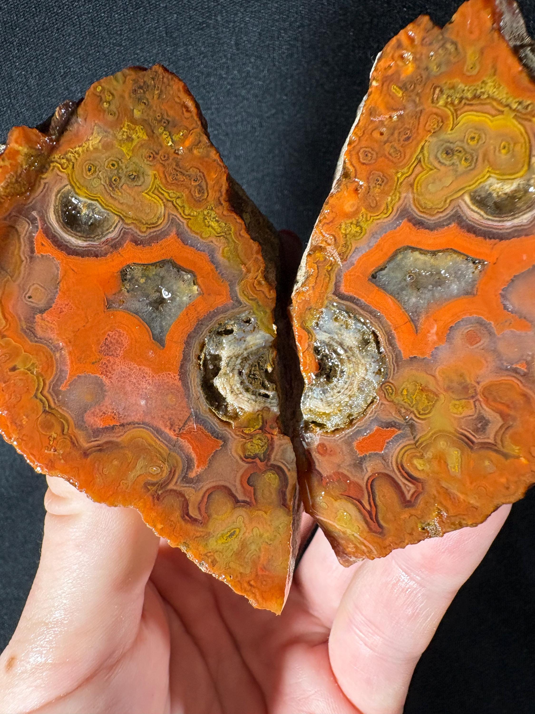 Raw Orbicular Agate Pair from Black Sea Region