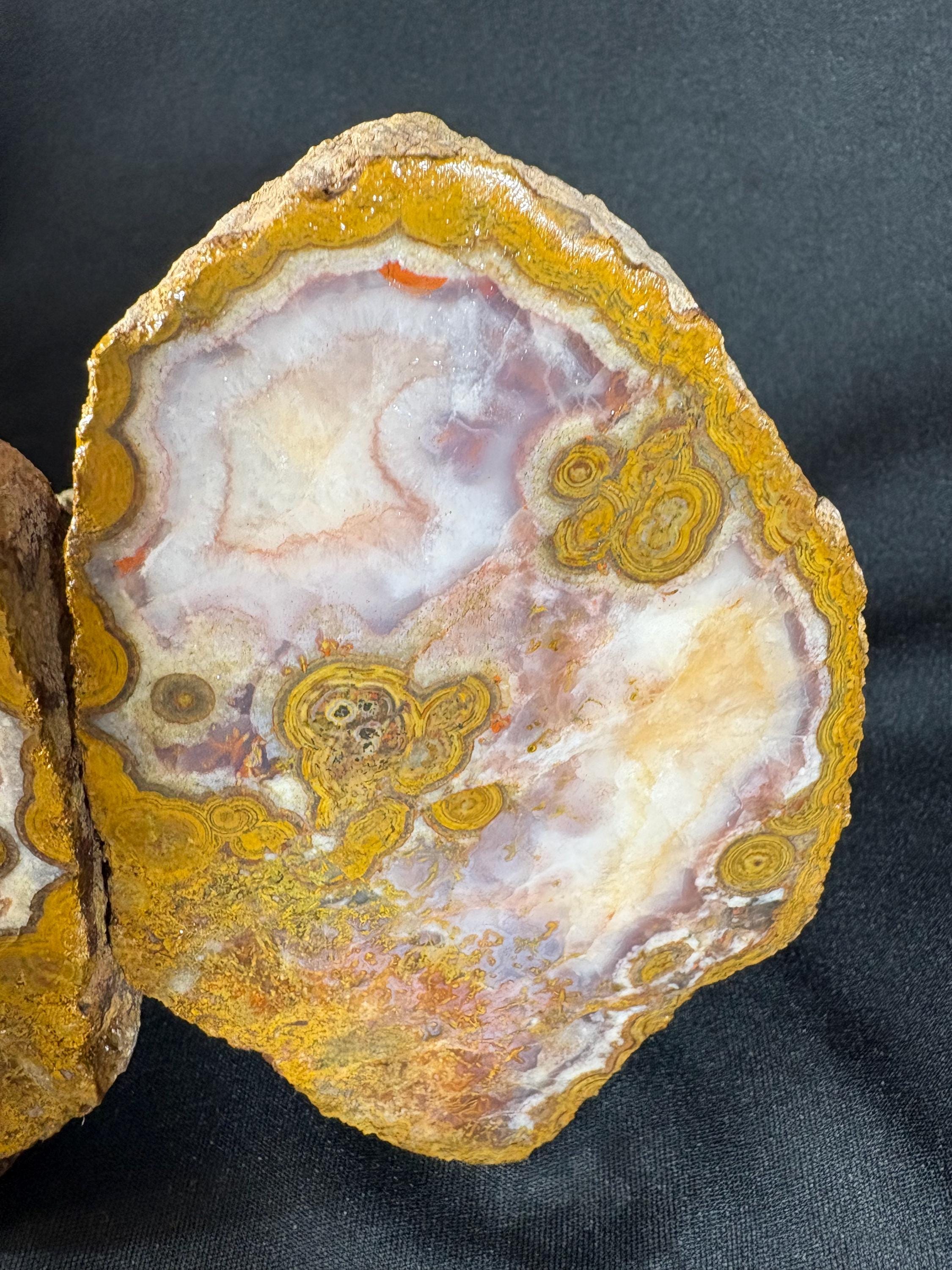 Natural Orbicular Agate Split Nodule Pair – Raw Ocean Jasper Type