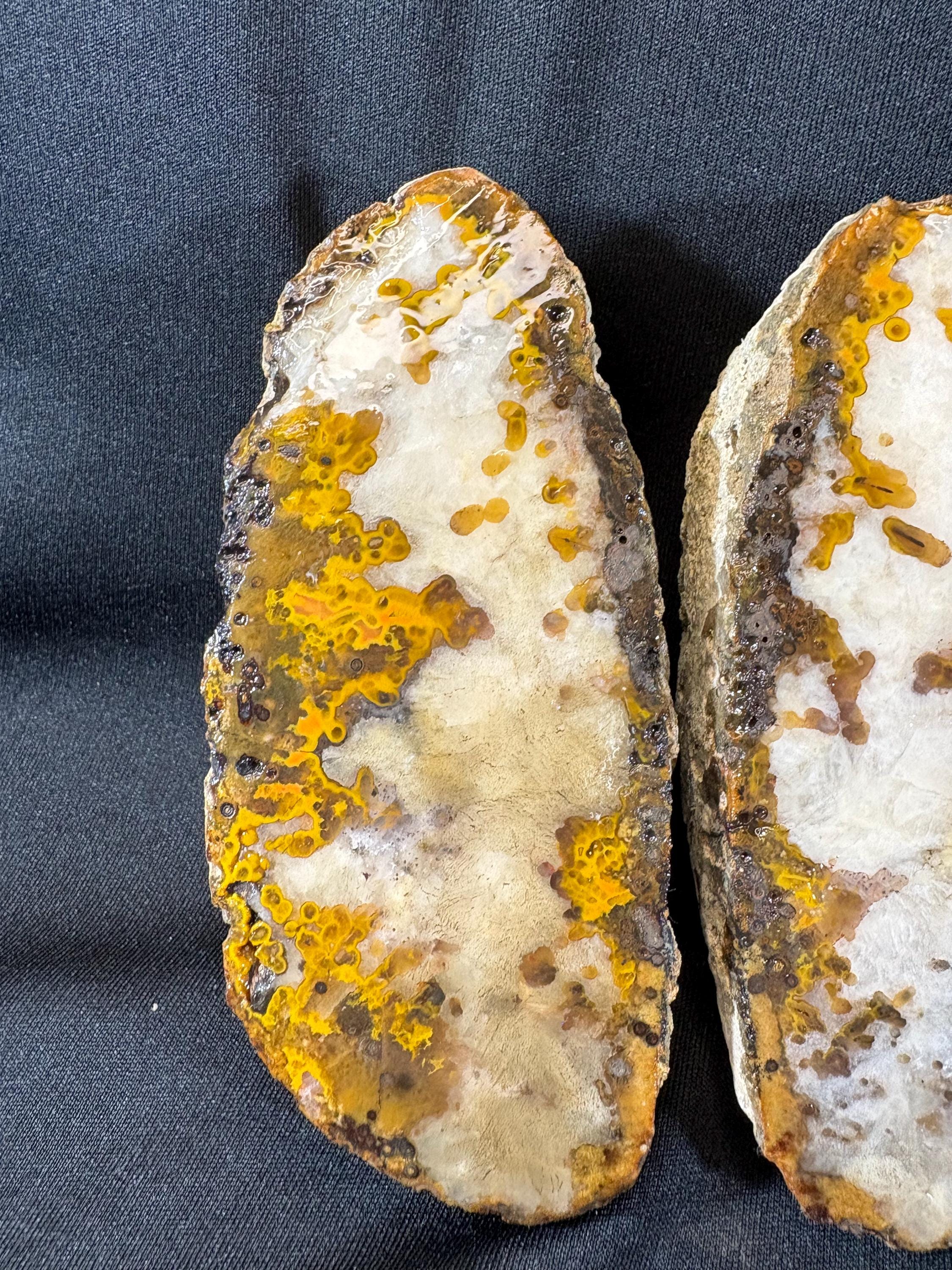 Natural Plume Agate Split Nodule Pair