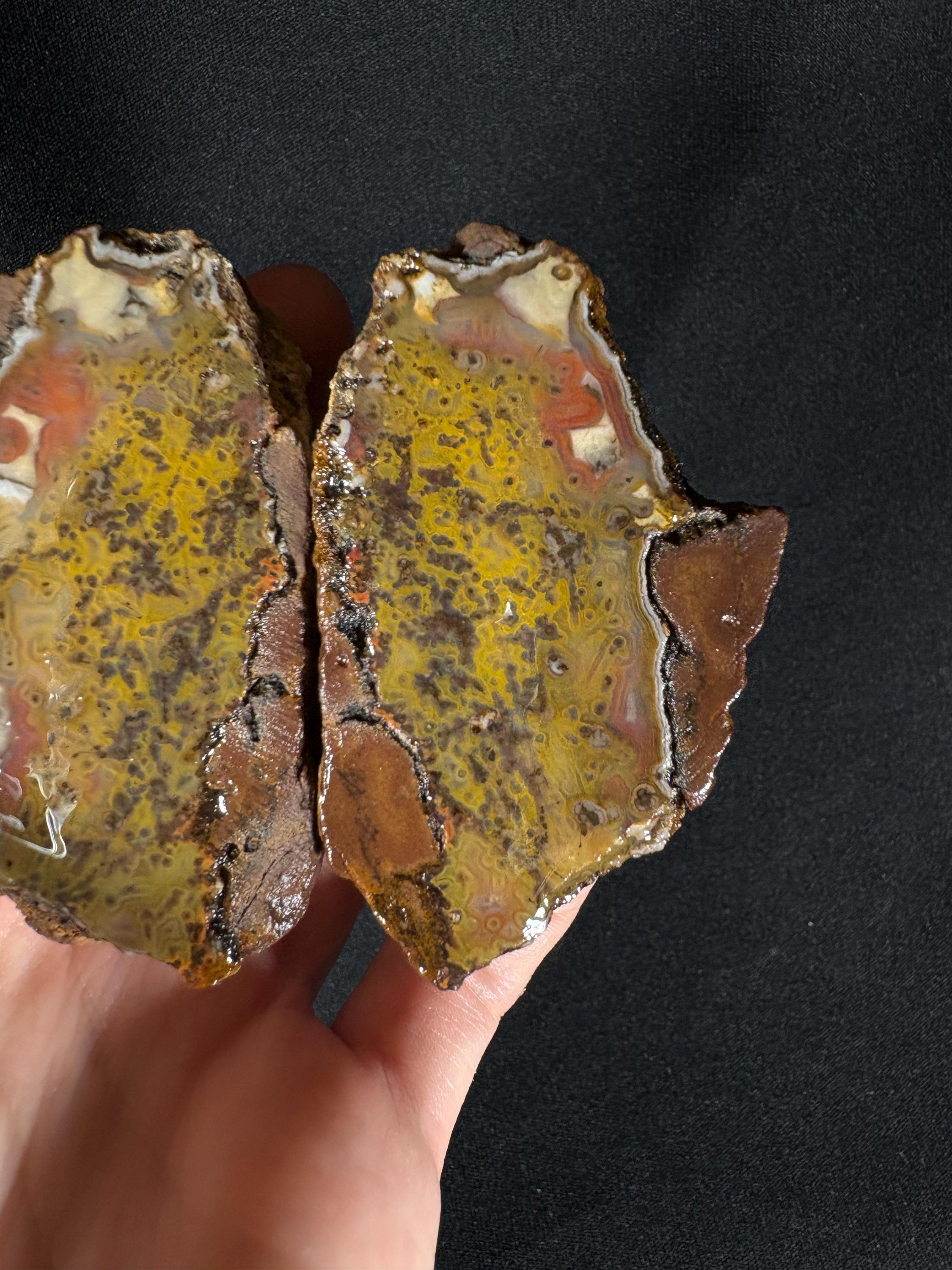 Rare Framed Plume Geode (Unpolished)