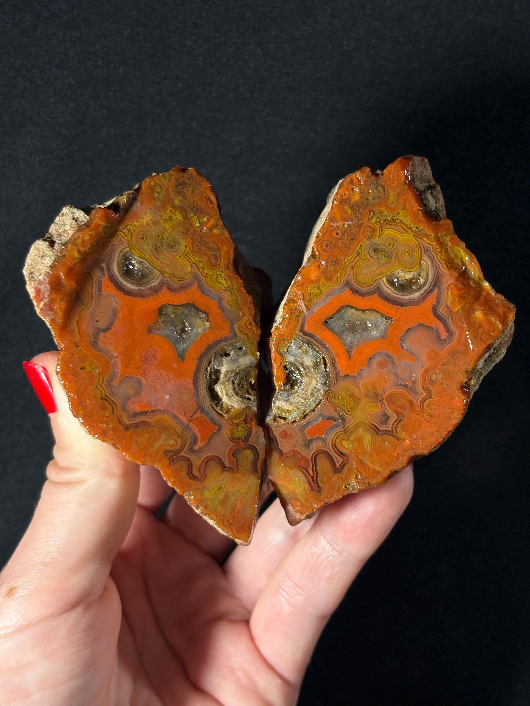 Raw Orbicular Agate Pair from Black Sea Region
