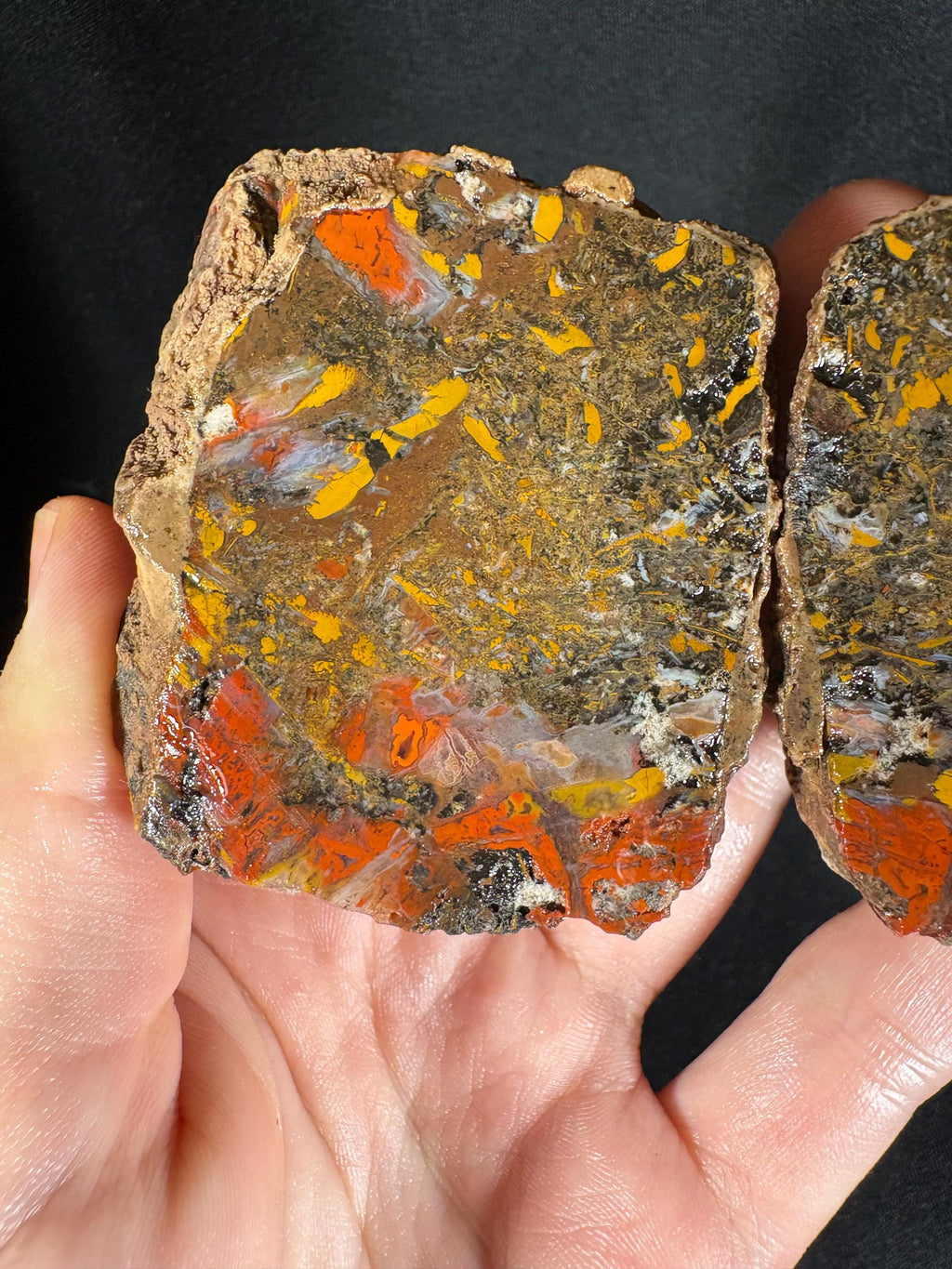 Scenic "Autumn Forest" Agate Pair - Black Sea Stone