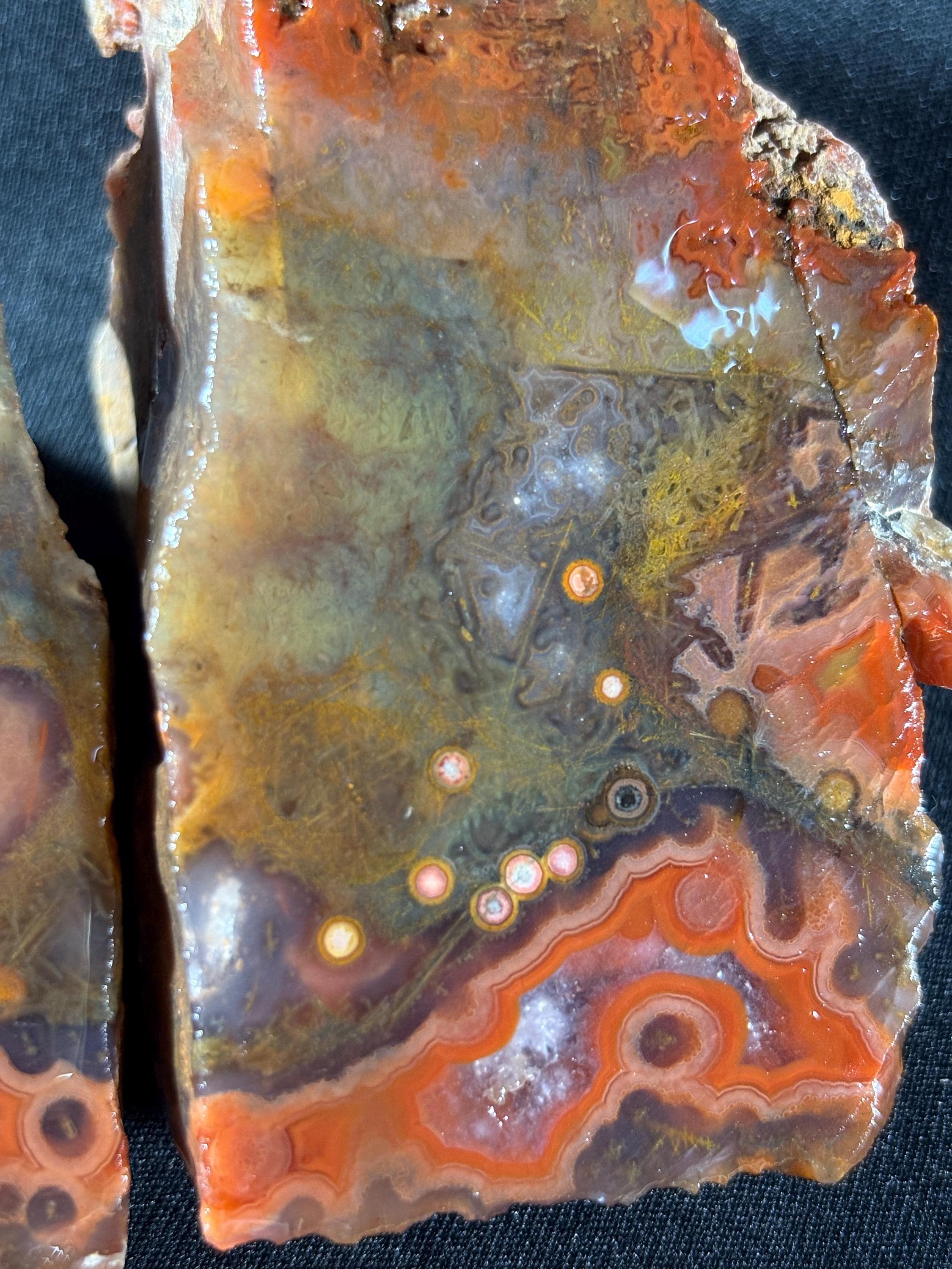 Black Sea Coastal Orbicular Agate