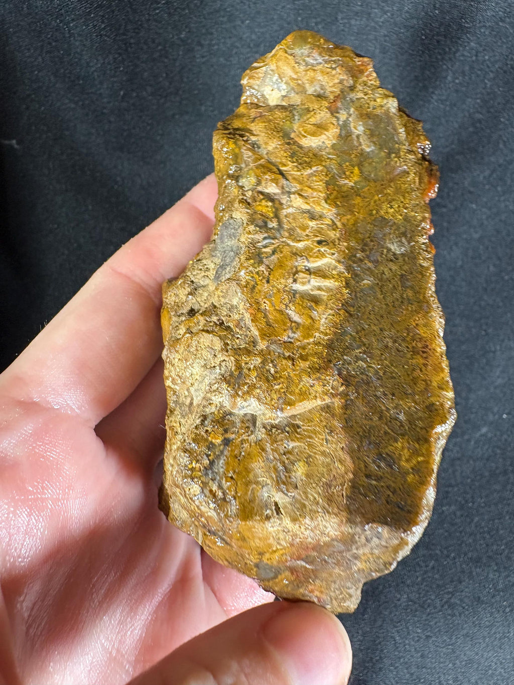 Black Sea Honey Moss Agate Pair – Golden Amber Plume