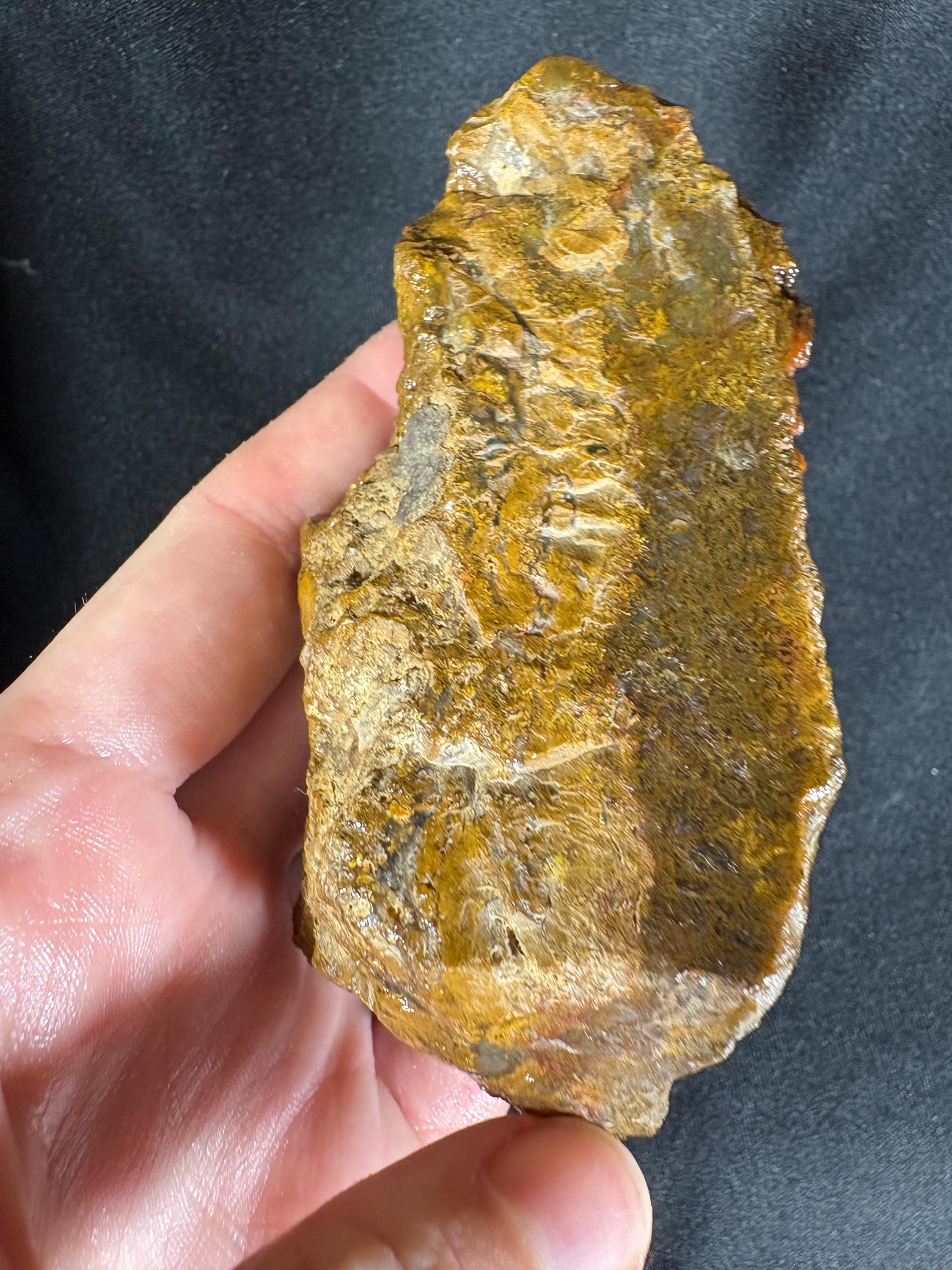 Black Sea Honey Moss Agate Pair – Golden Amber Plume