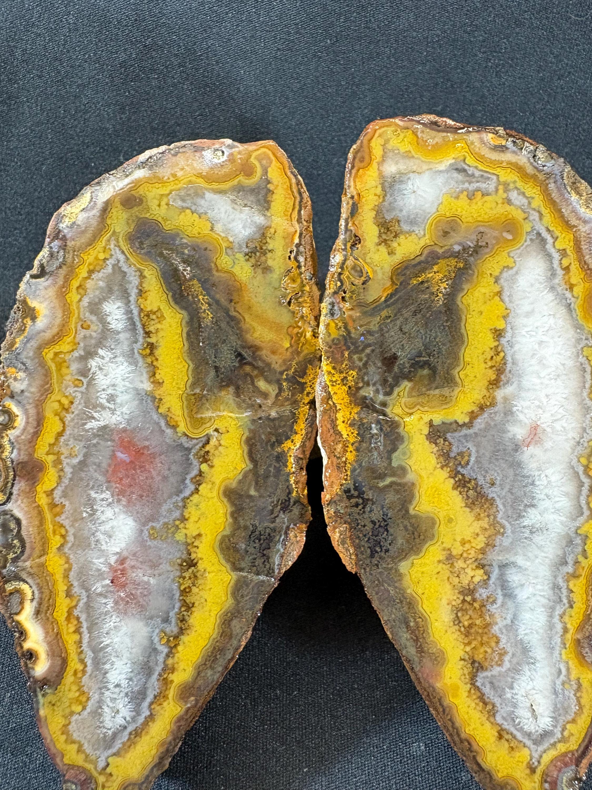Natural Yellow Banded Agate Split Nodule Pair