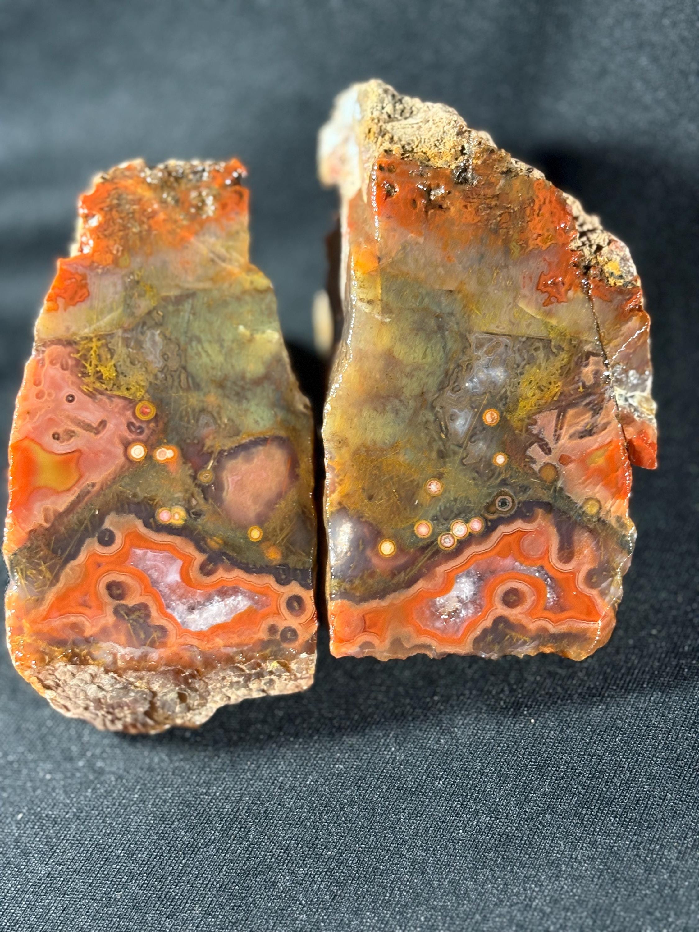 Black Sea Coastal Orbicular Agate