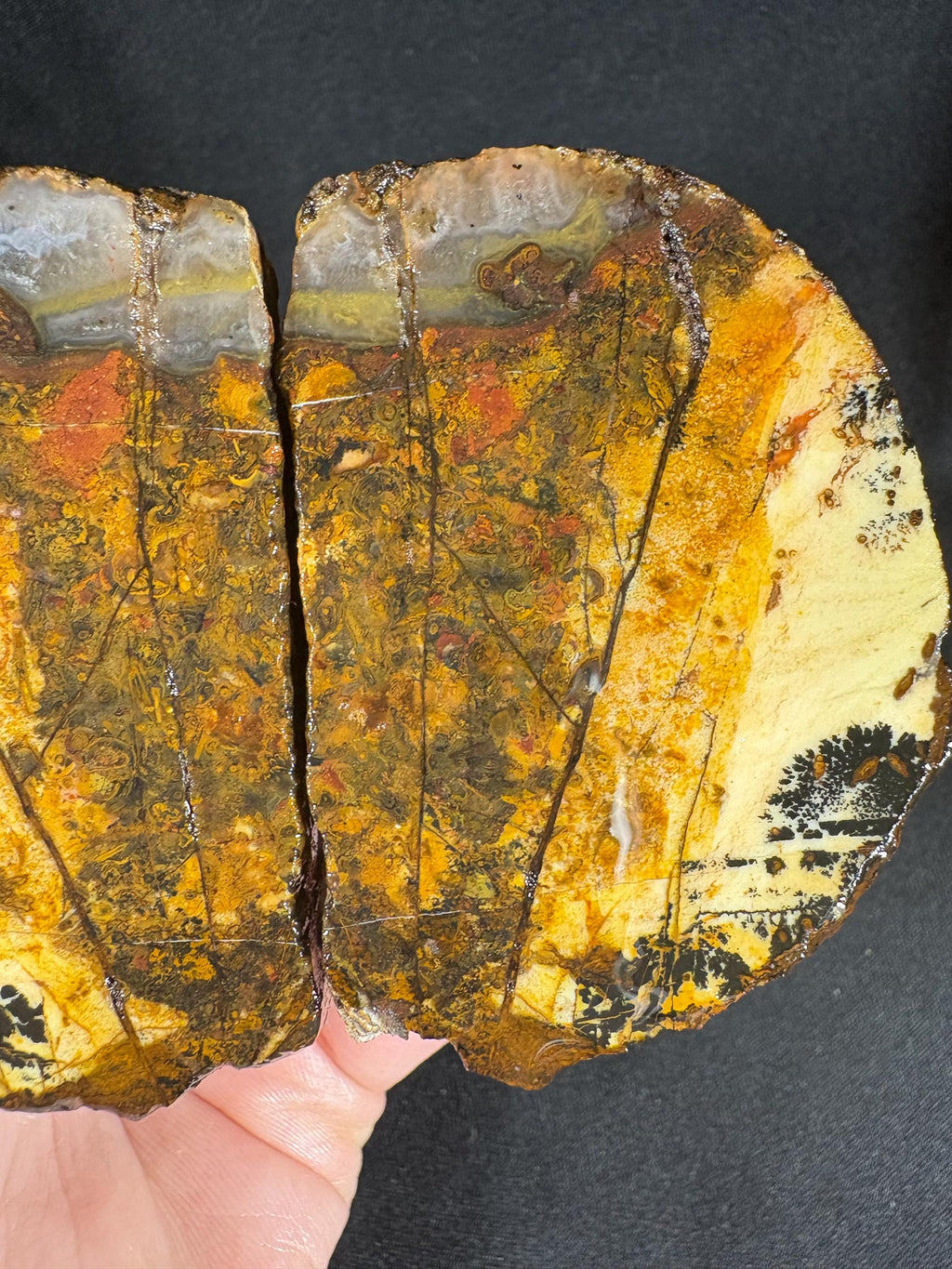 Golden Plume Agate Pair – Scenic "Autumn Forest" Dendritic Geode