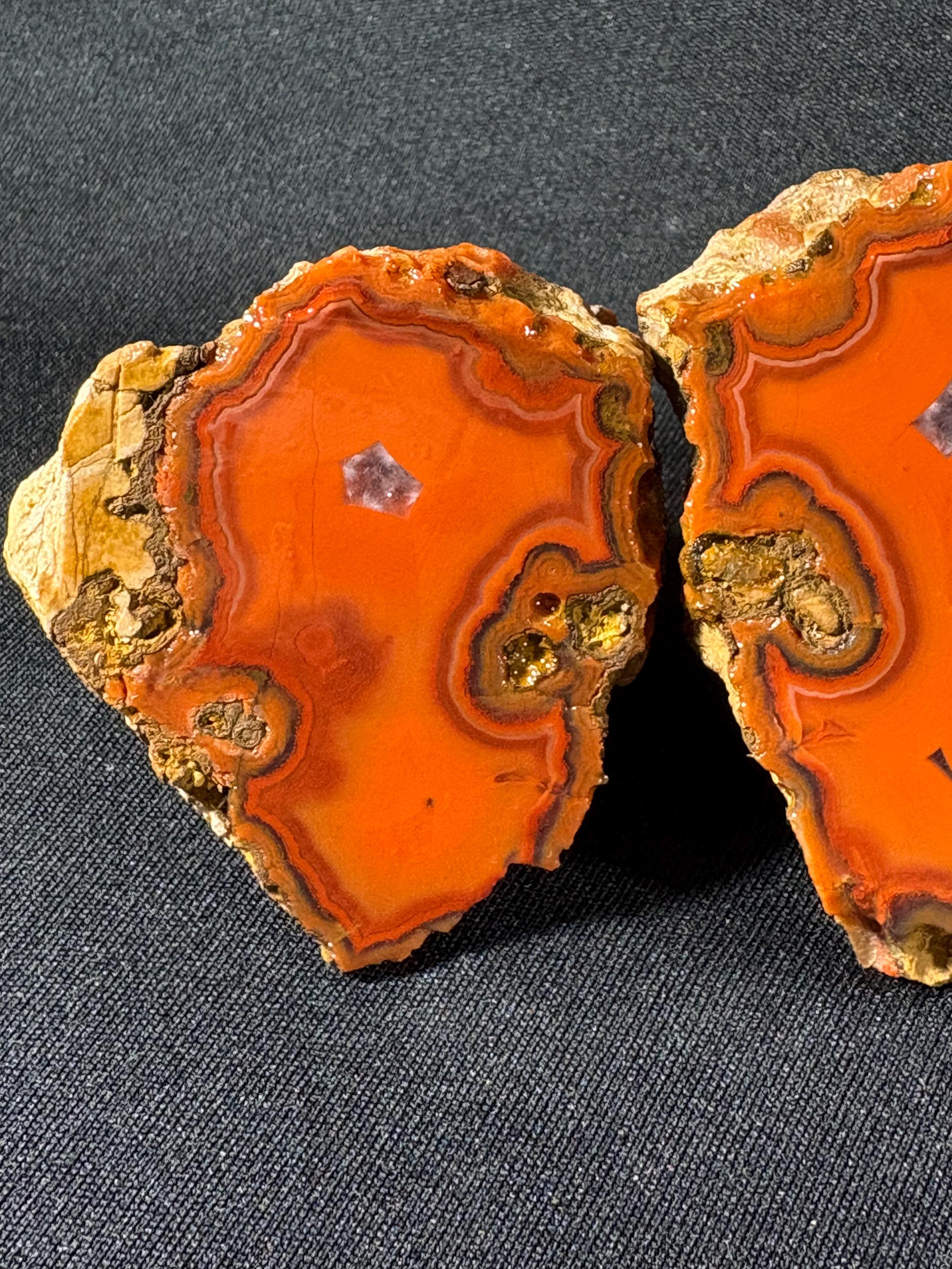 Electric Orange Orbicular Agate Pai