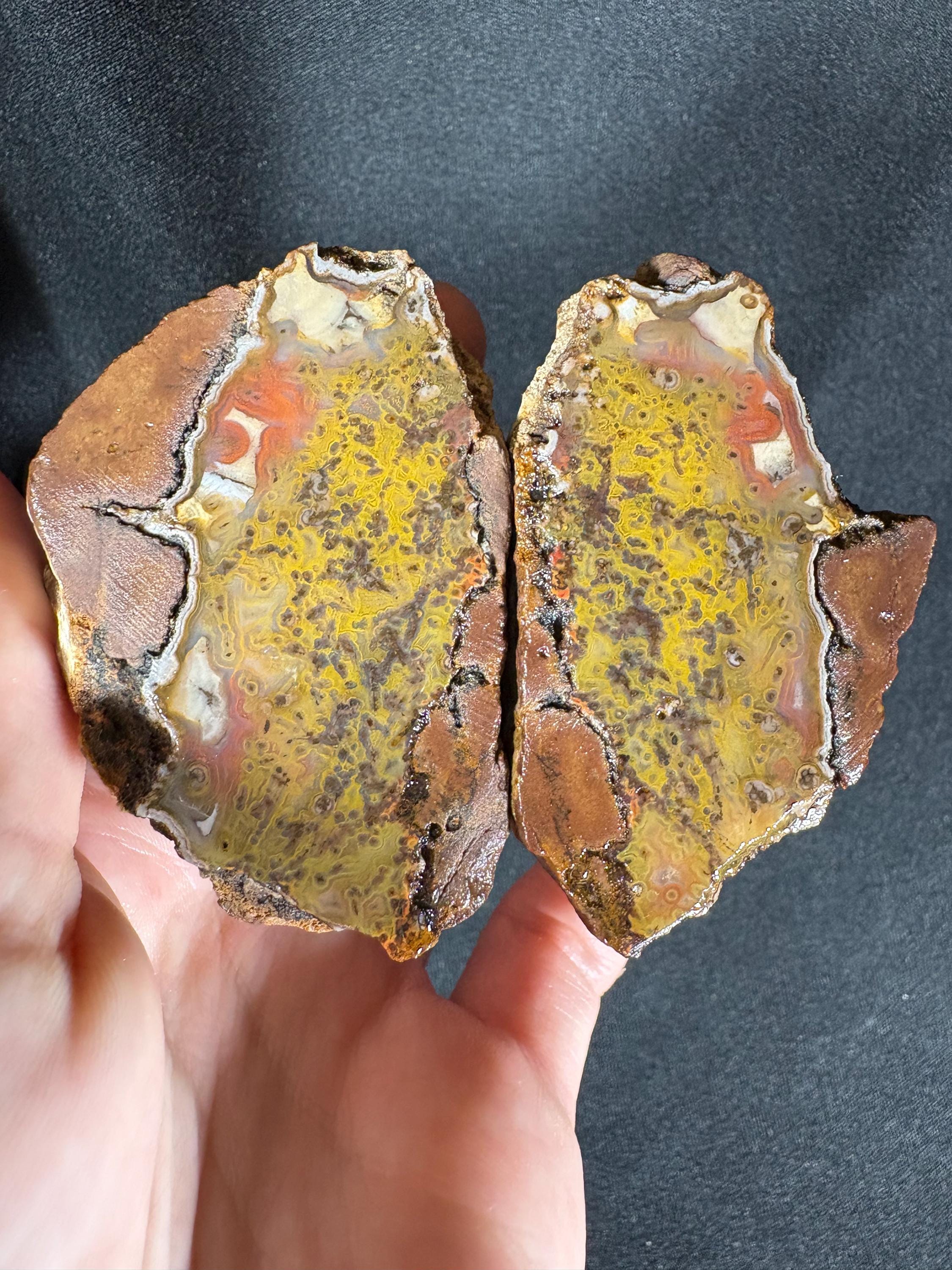 Rare Framed Plume Geode (Unpolished)