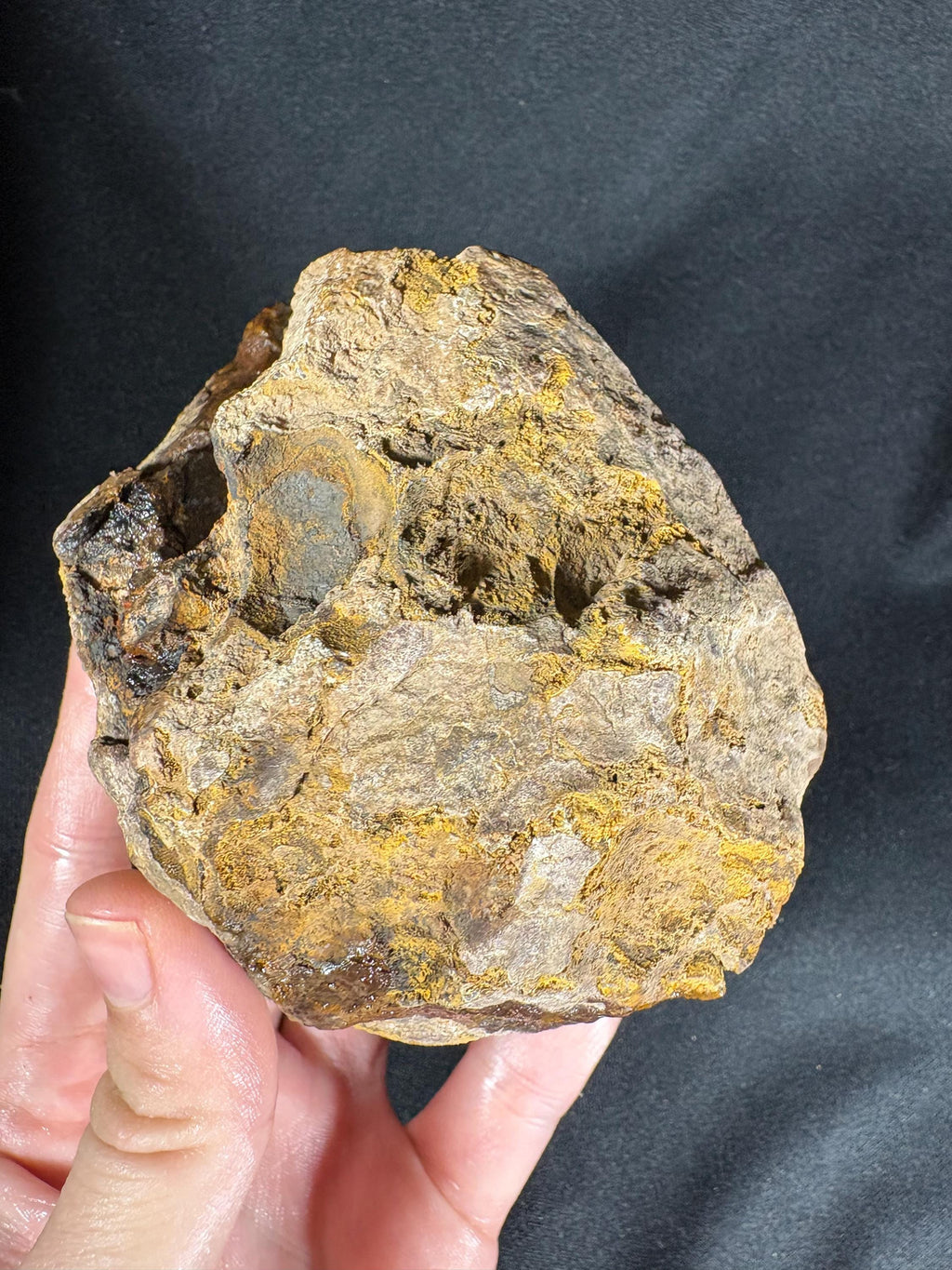 Unpolished Karadeniz Forest Agate