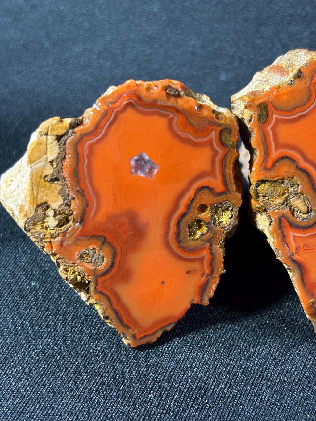 Electric Orange Orbicular Agate Pai