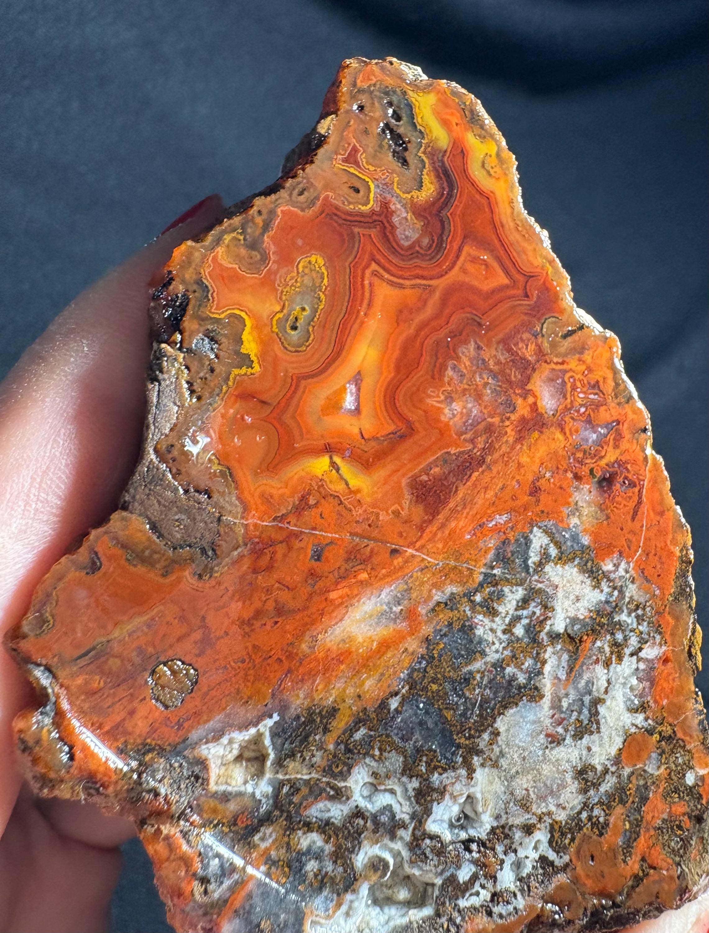 Raw Crazy Lace Agate Pair