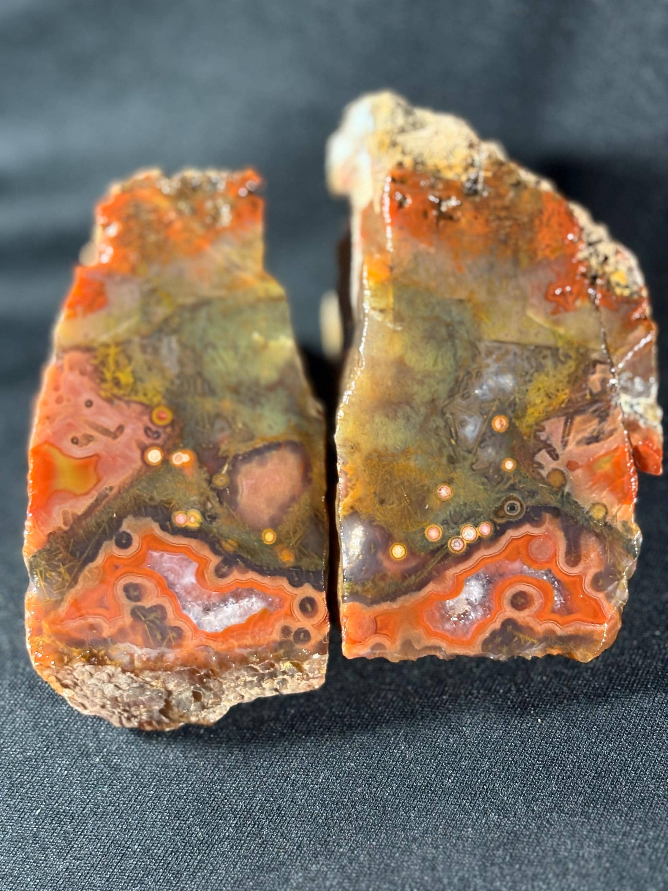 Black Sea Coastal Orbicular Agate