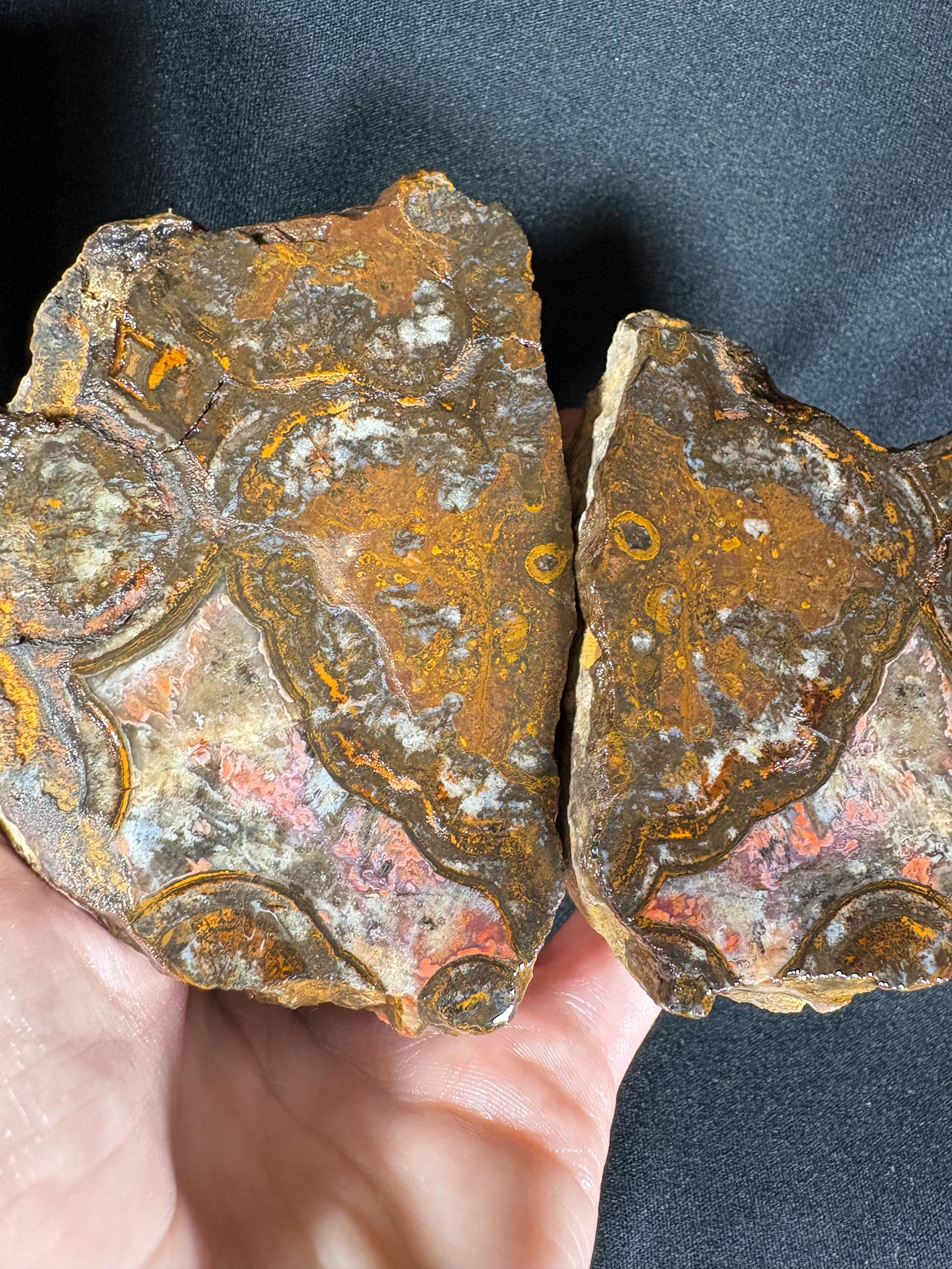 Unpolished Karadeniz Forest Agate