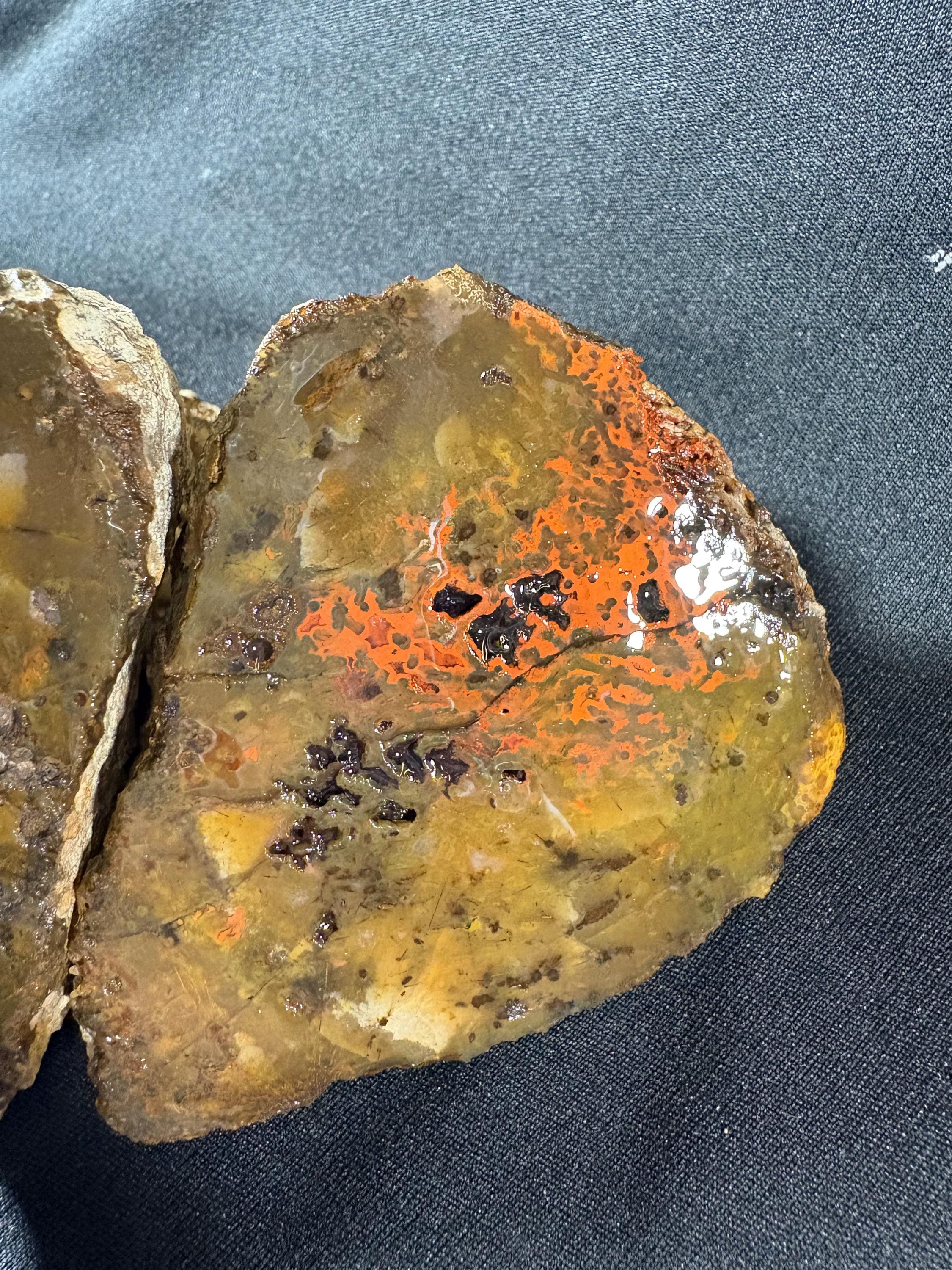 Raw Orbicular Agate Pair from Black Sea Region