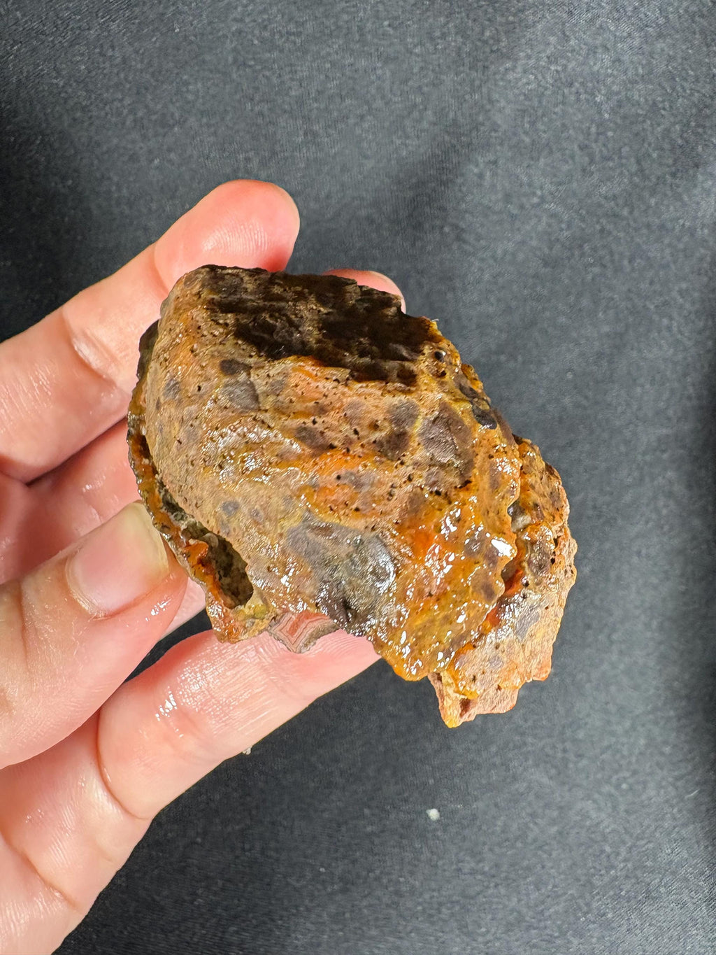 Rare Red Almus Agate Pair
