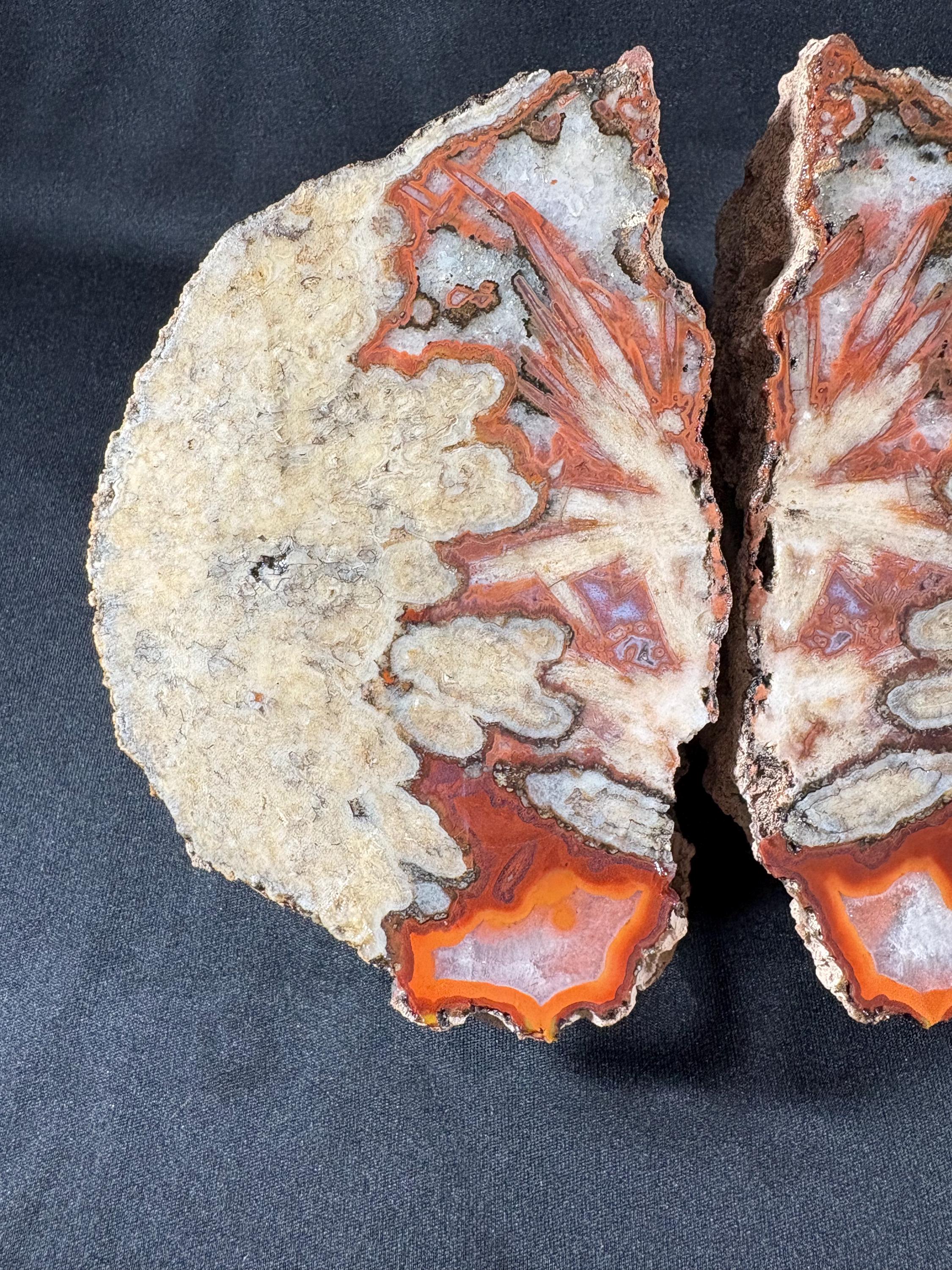 Natural Plume Agate Split Nodule Pair – Raw Untreated Agate