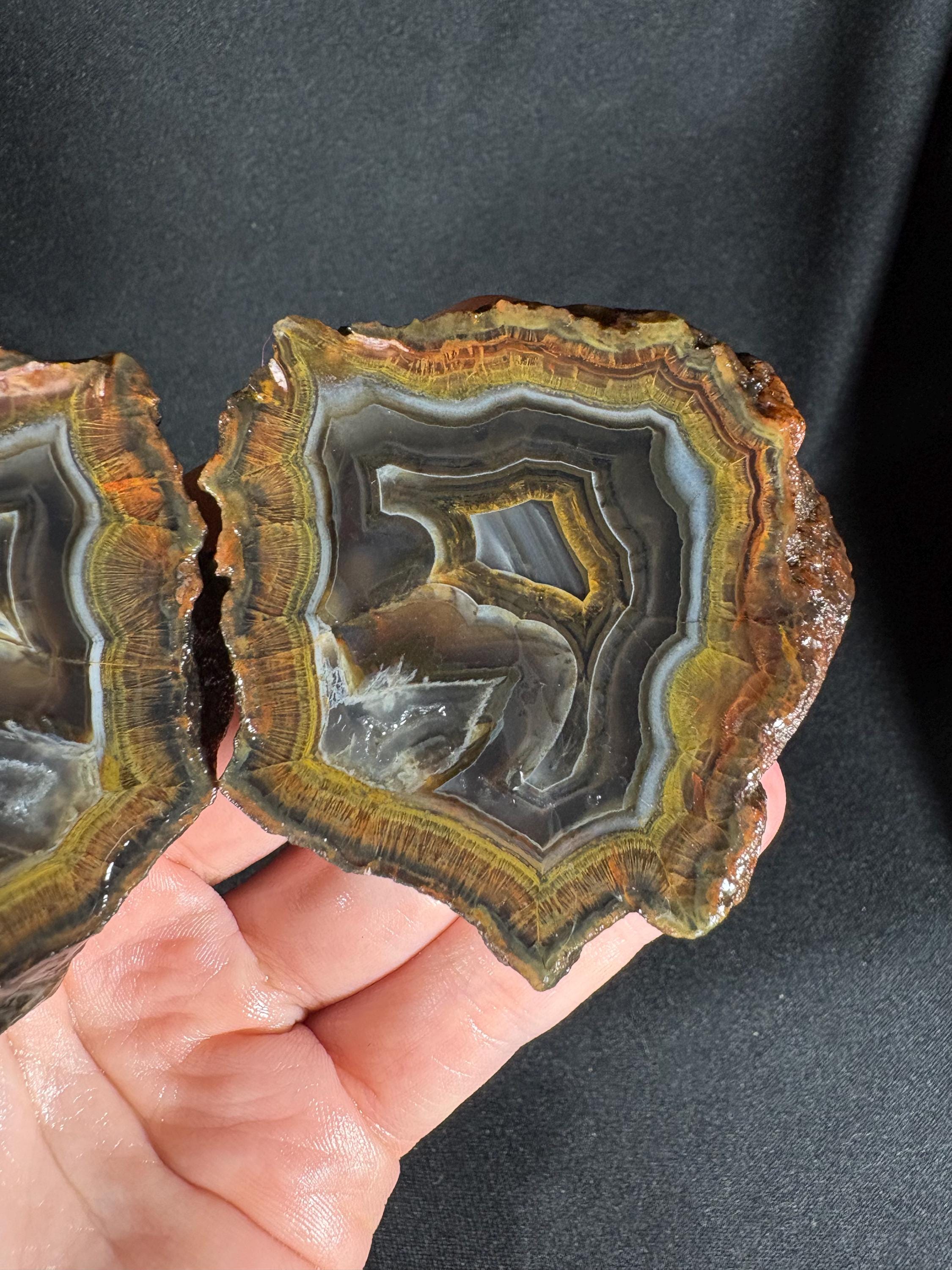 Golden Moss Rim Agate Pair