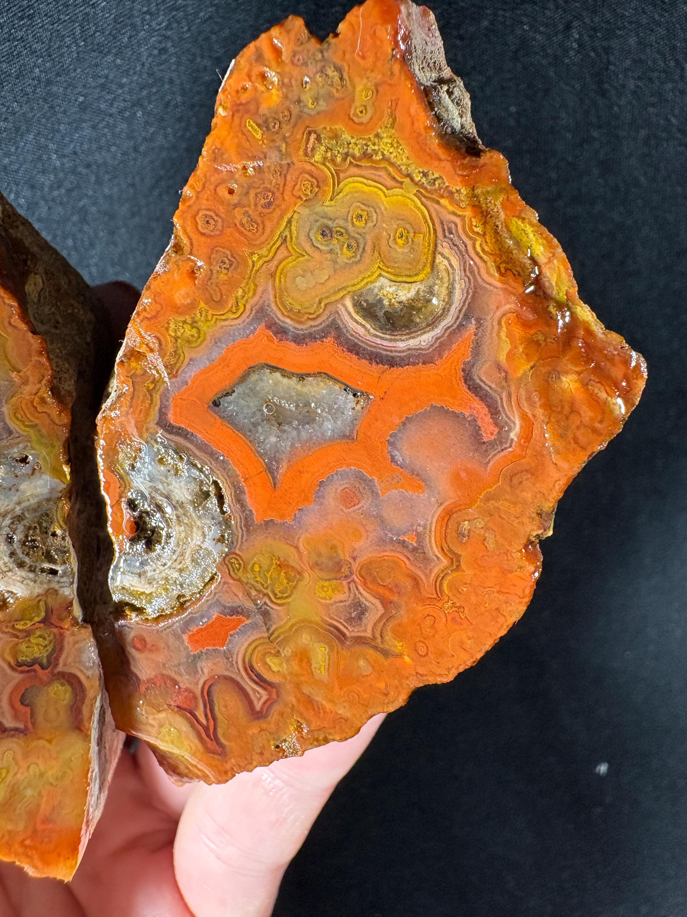 Raw Orbicular Agate Pair from Black Sea Region