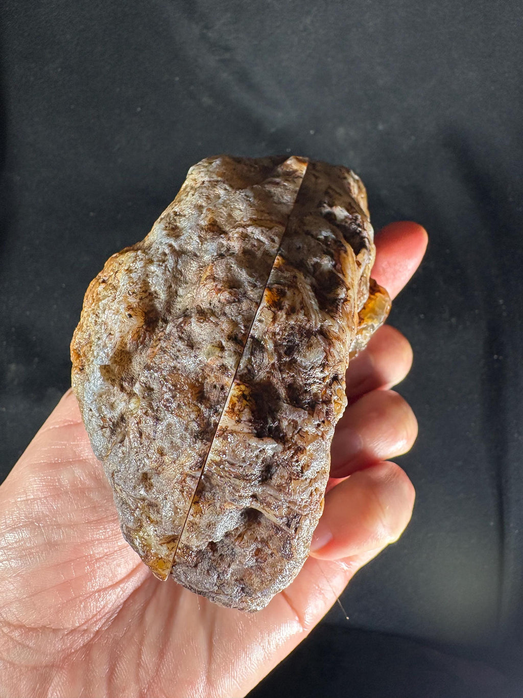 Raw Turkish Banded Agate Geodes - Blue Black and Dendritic Patterns